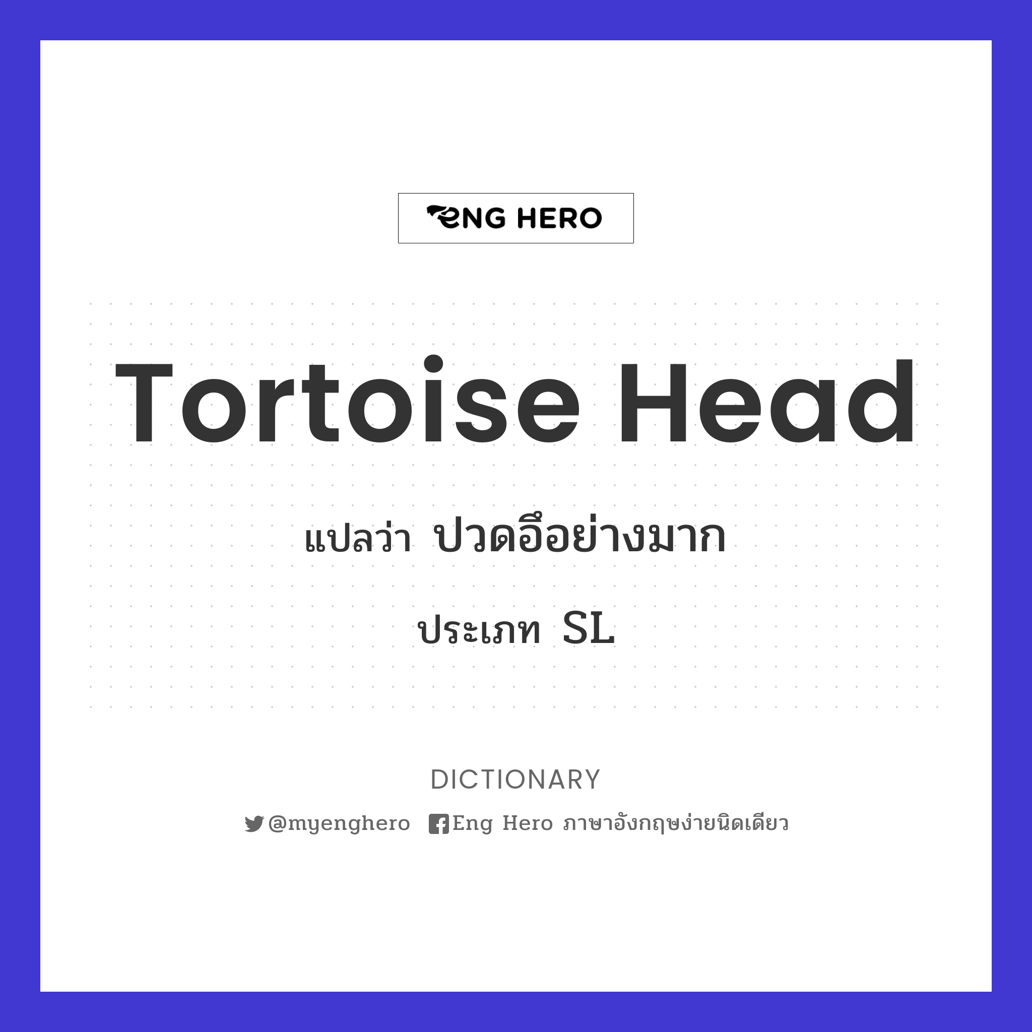 tortoise head