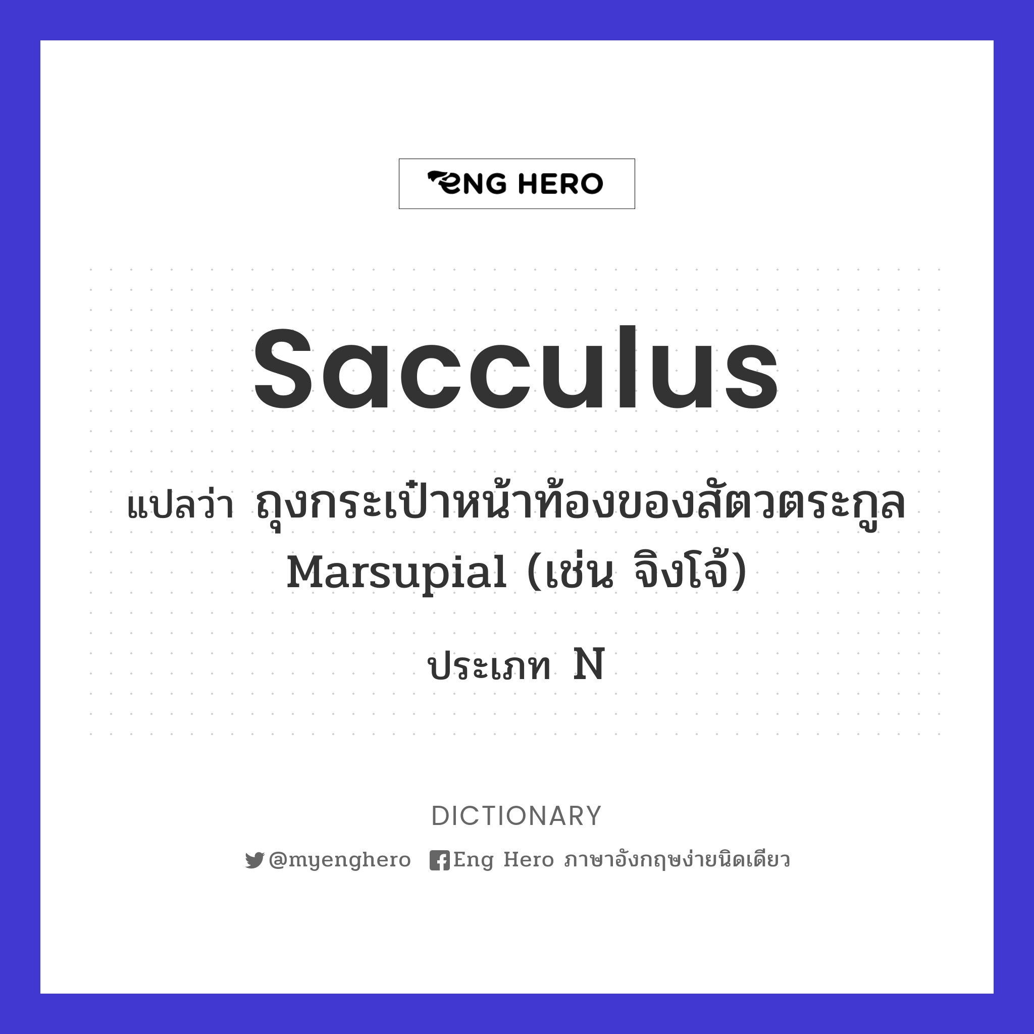 sacculus