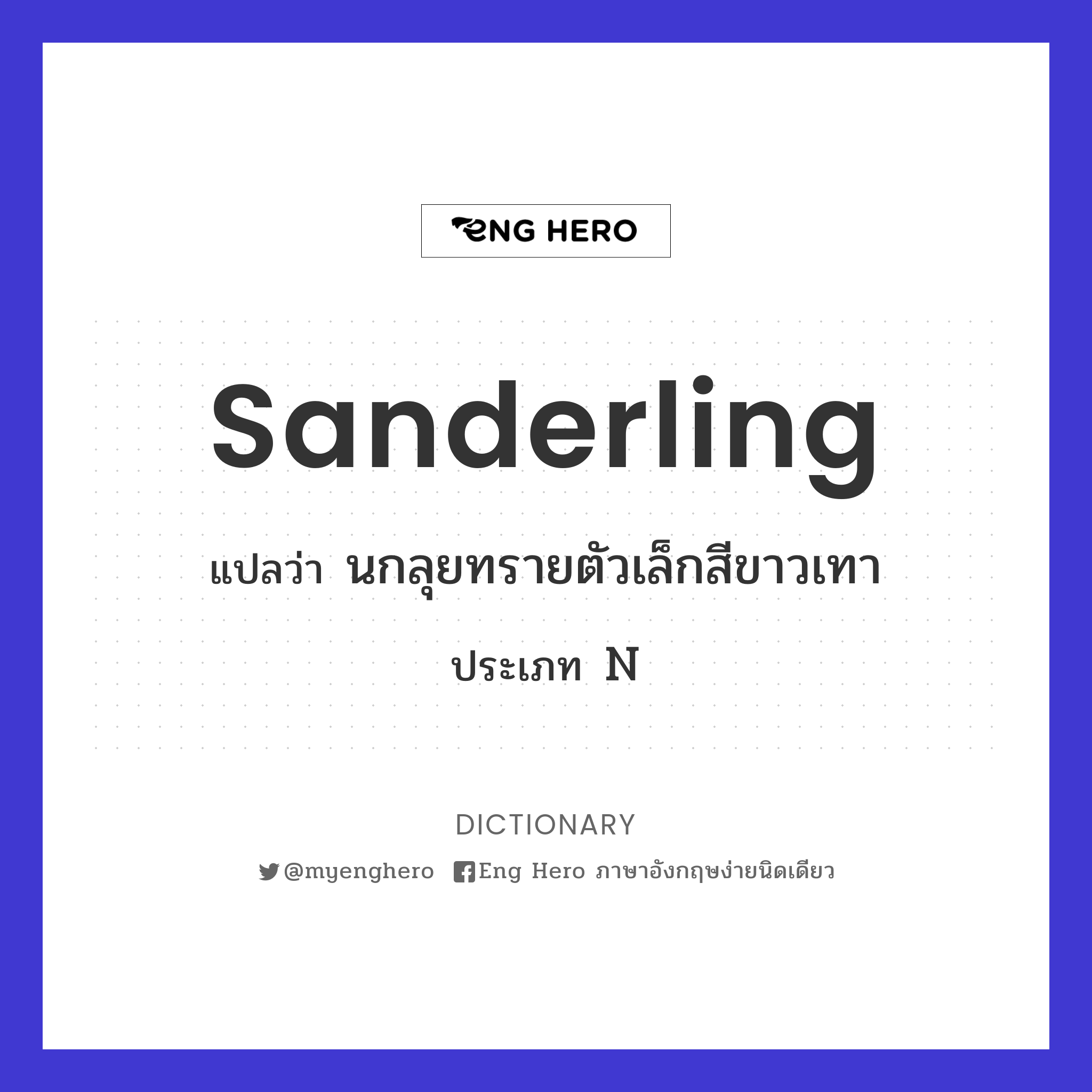 sanderling