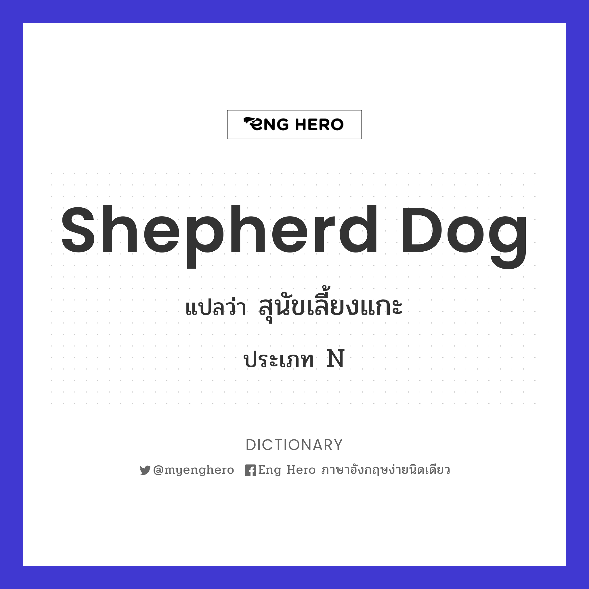 shepherd dog