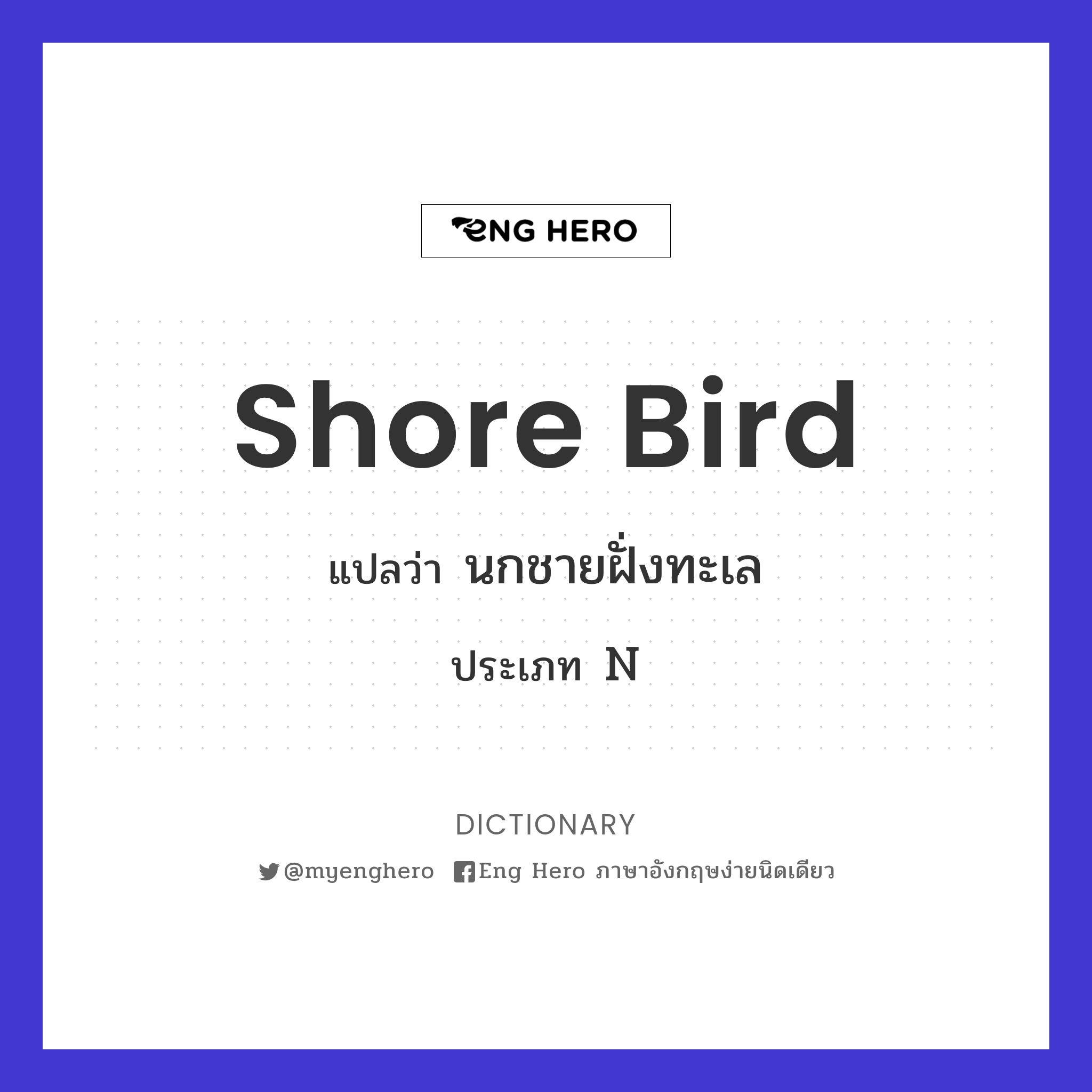 shore bird