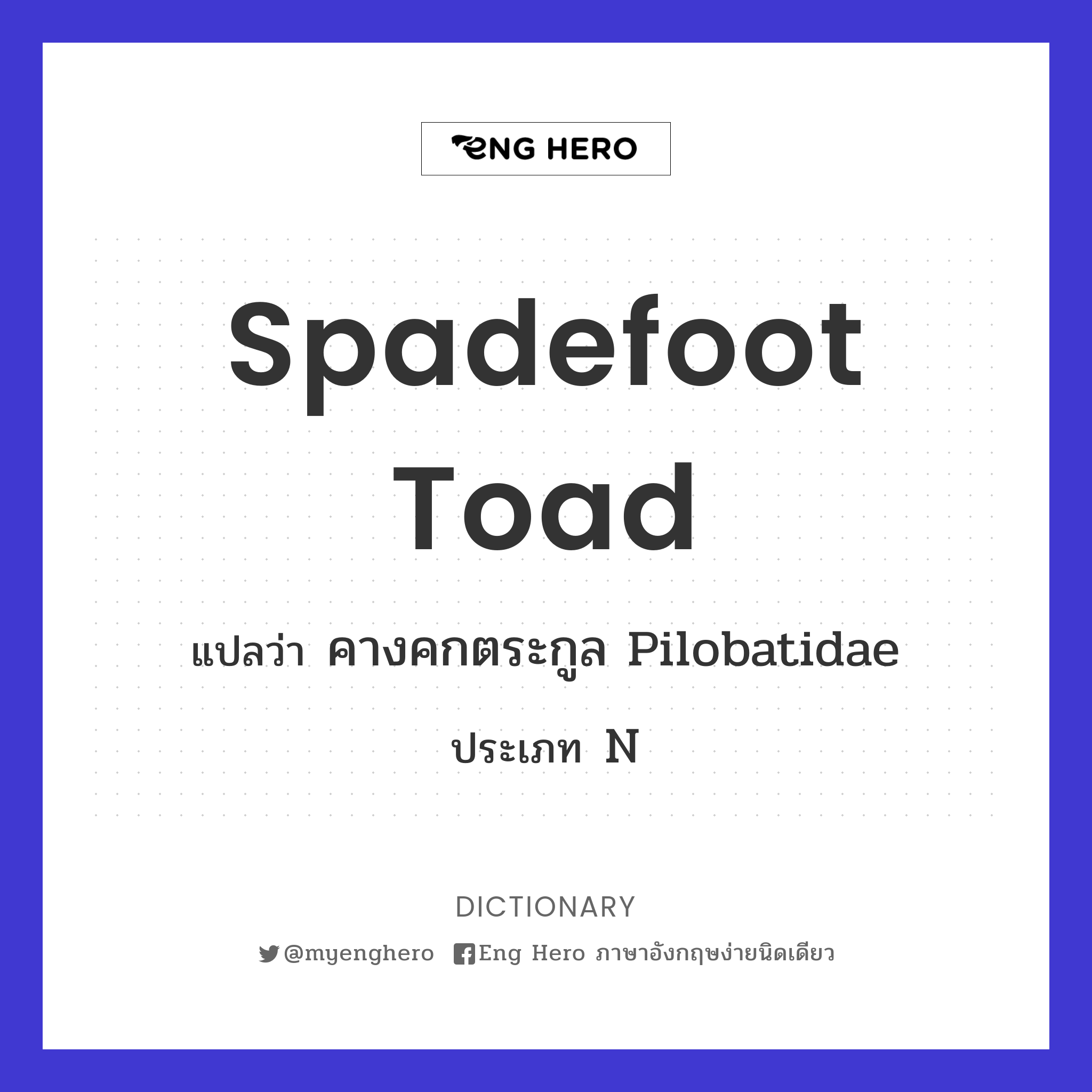 spadefoot toad