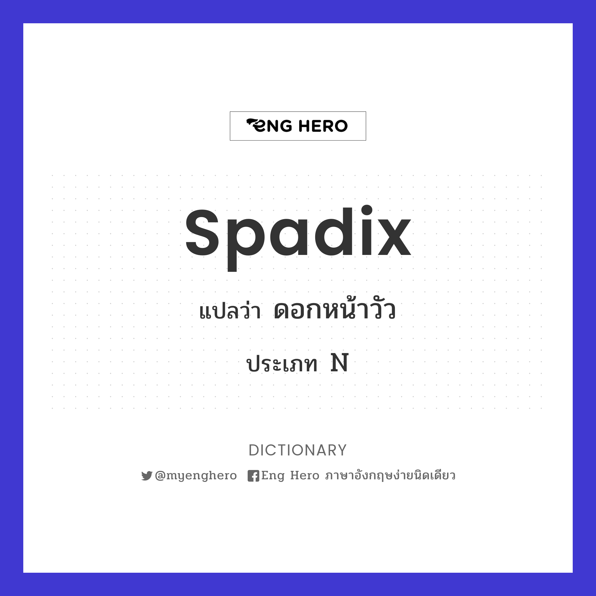 spadix