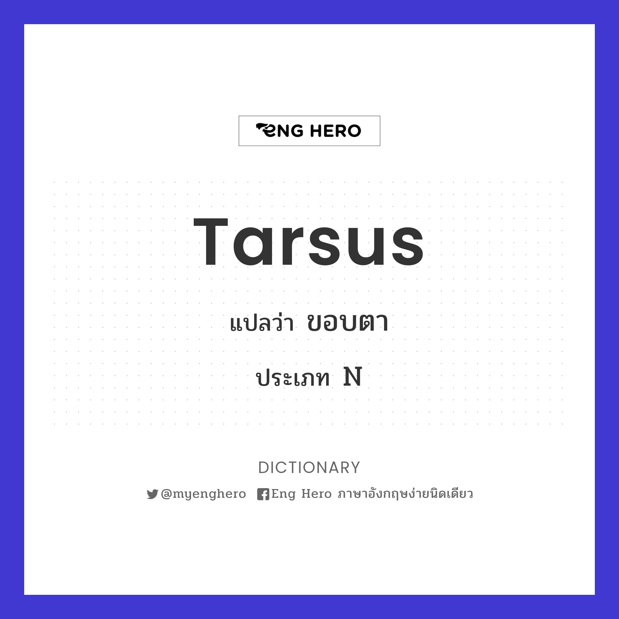 tarsus