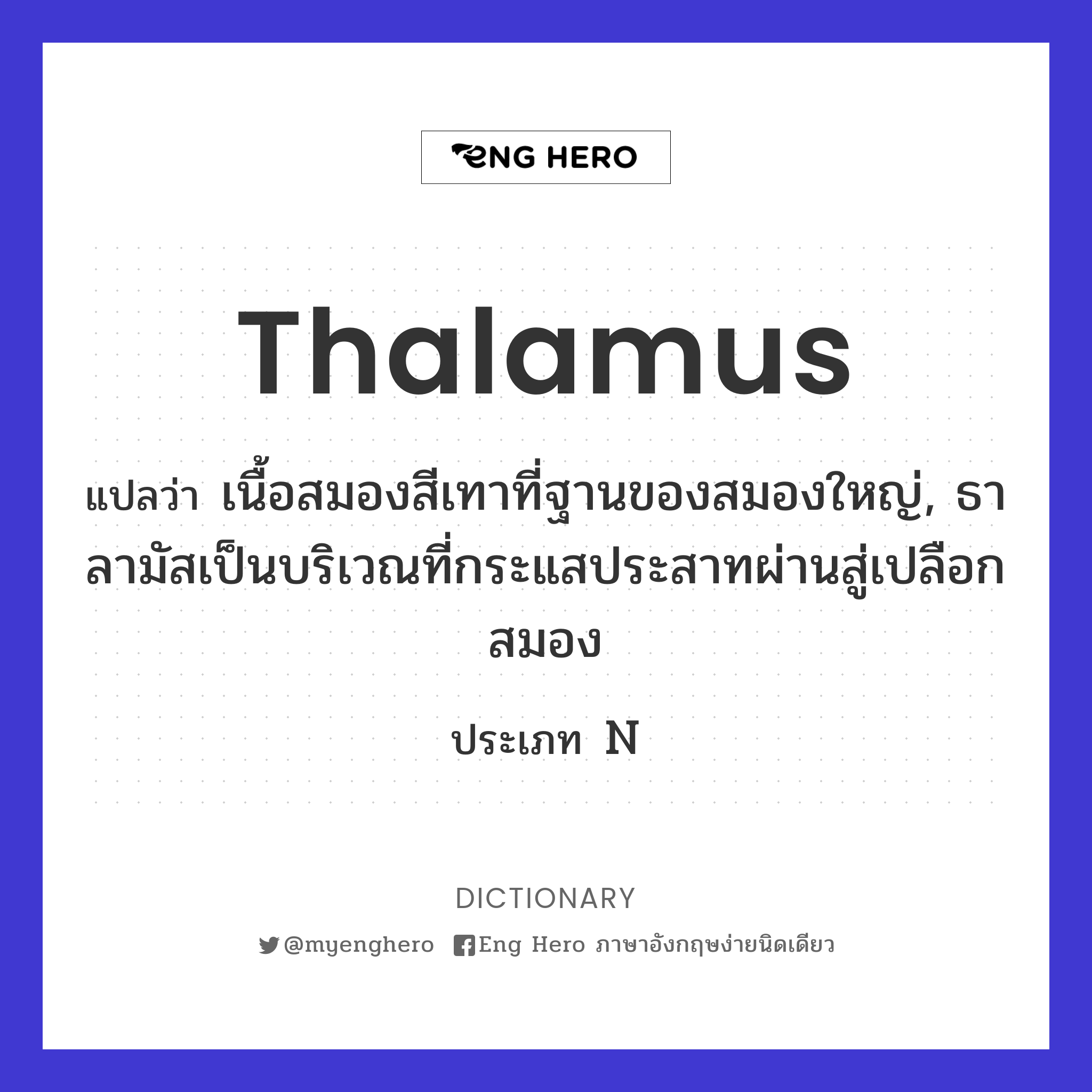 thalamus