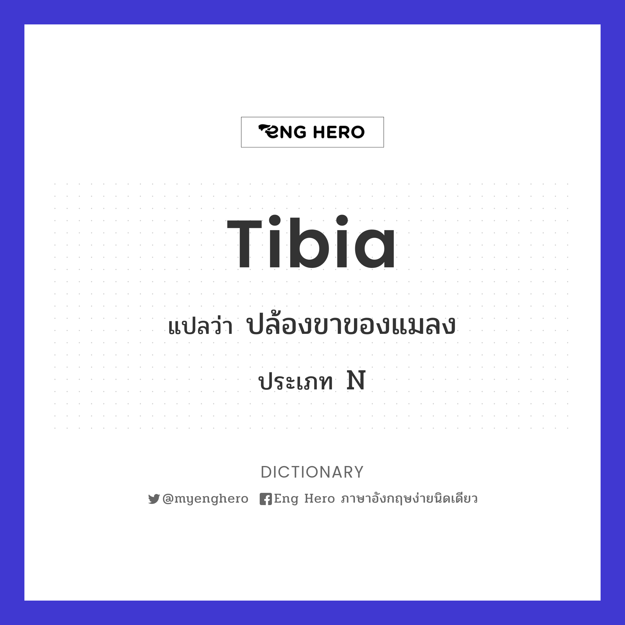 tibia
