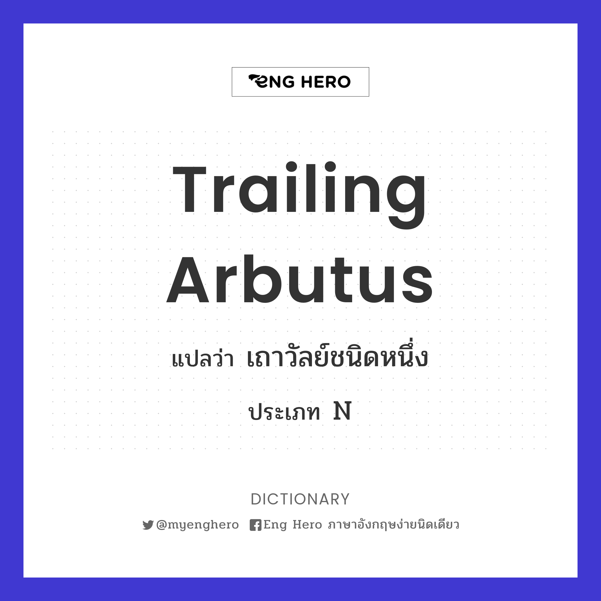 trailing arbutus