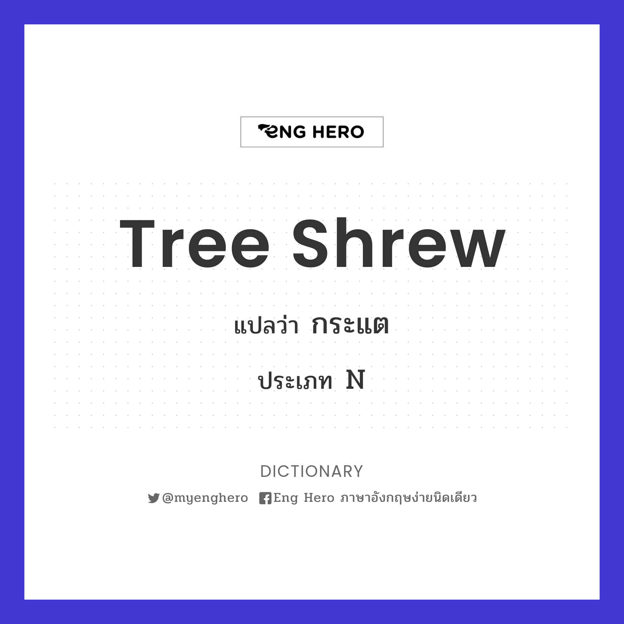 tree shrew