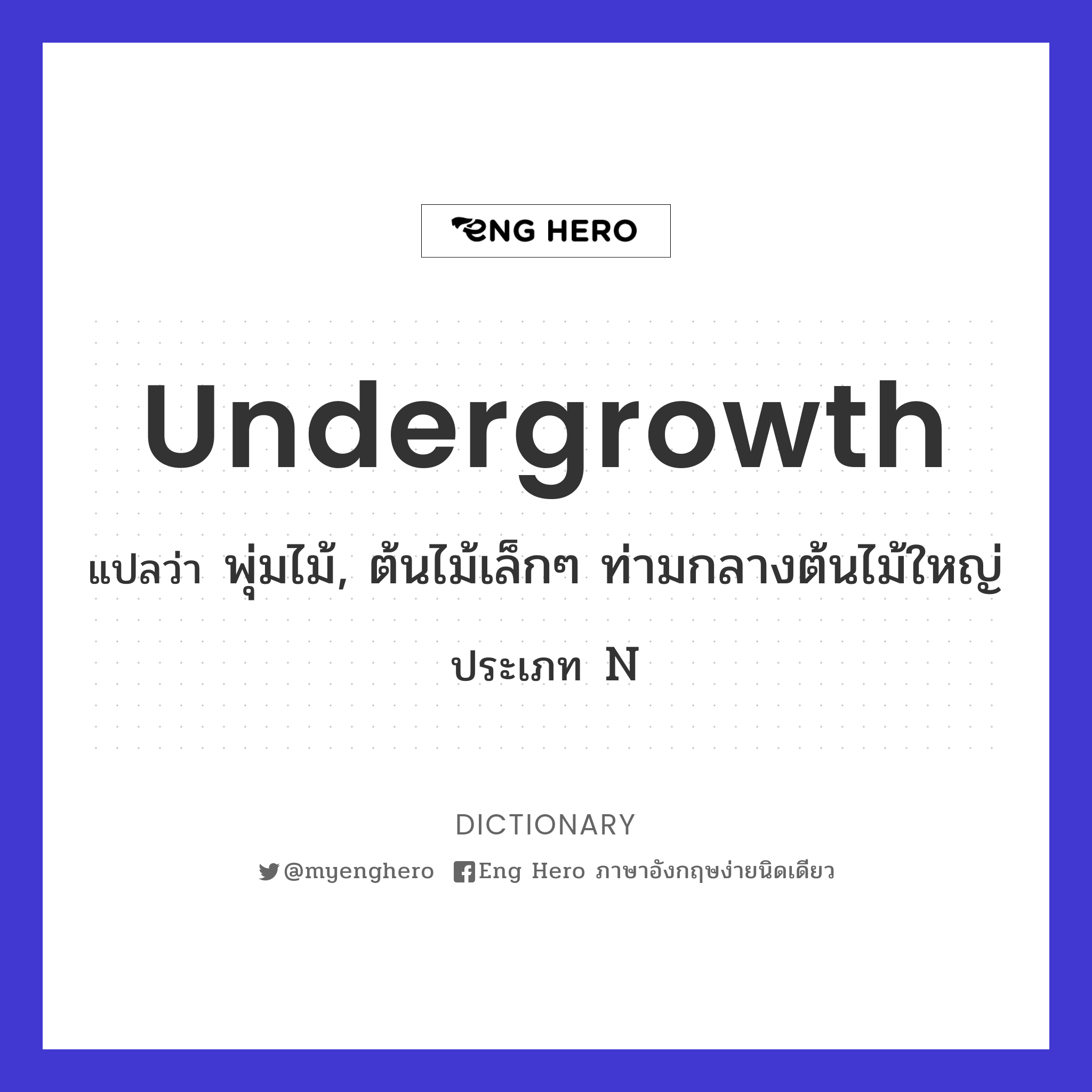 undergrowth