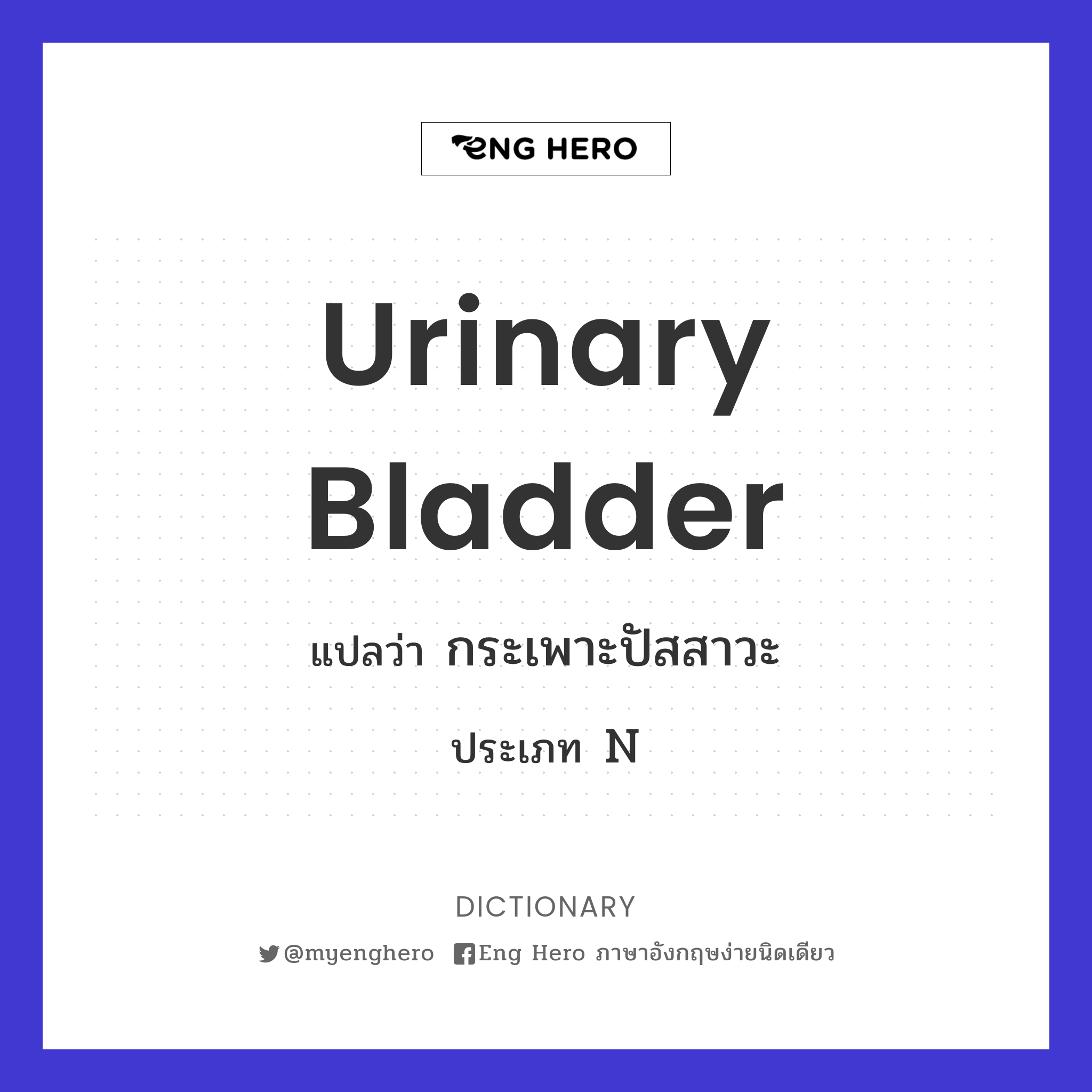 urinary bladder