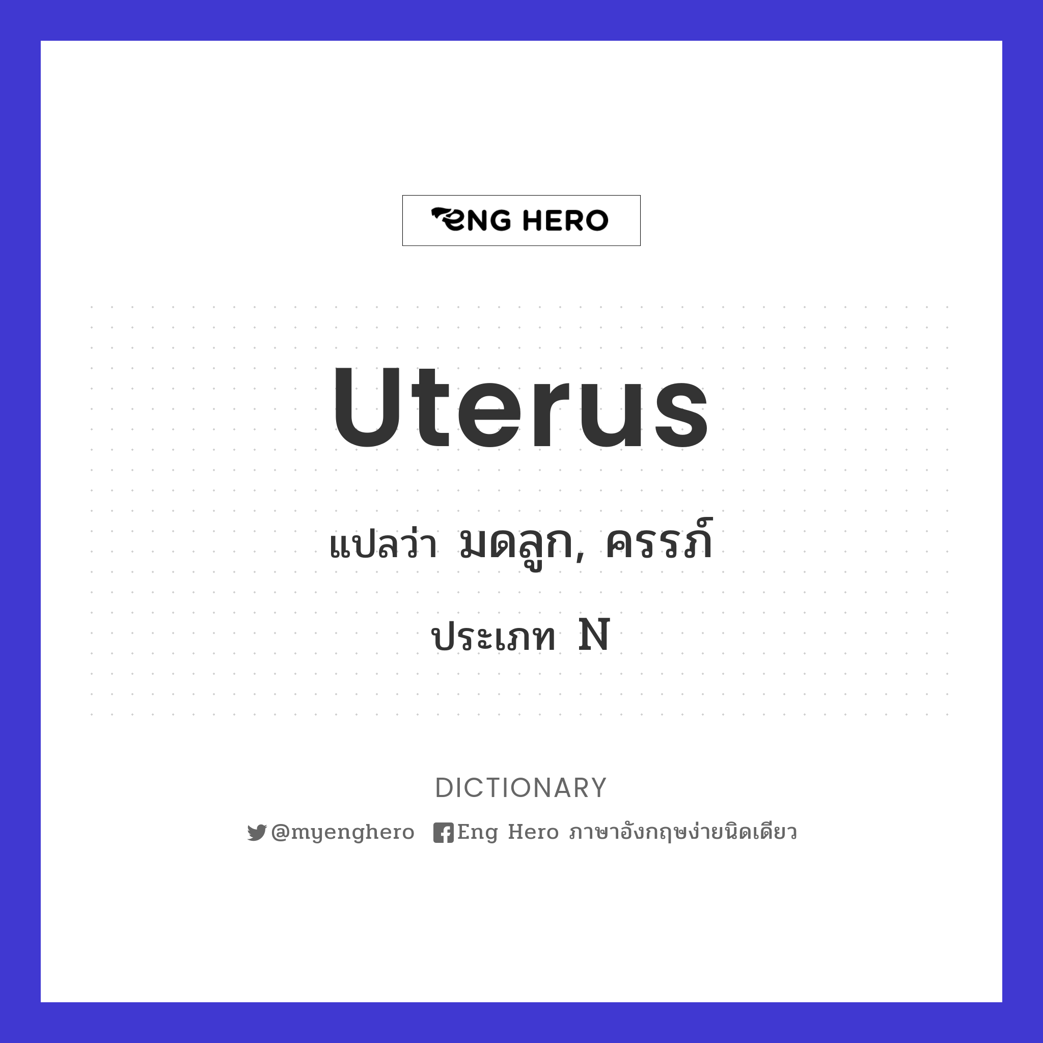 uterus