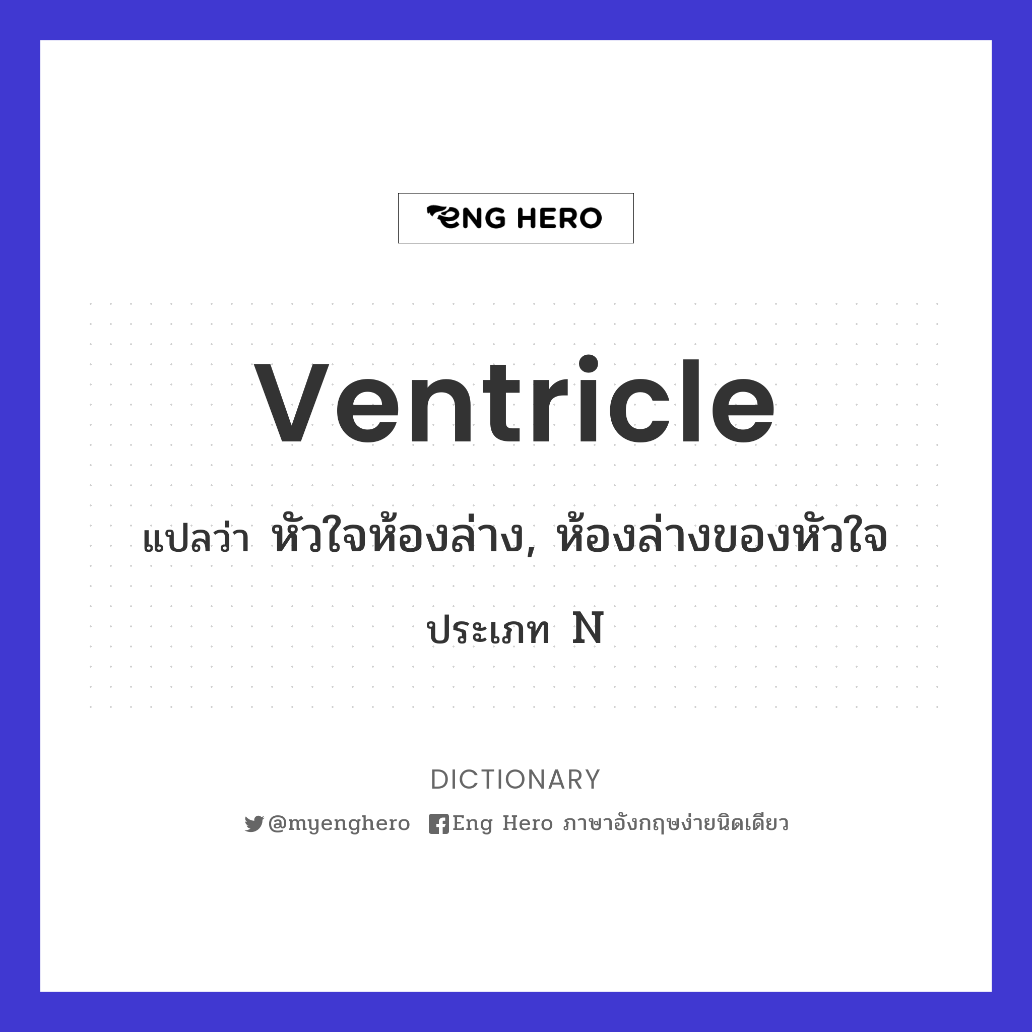 ventricle
