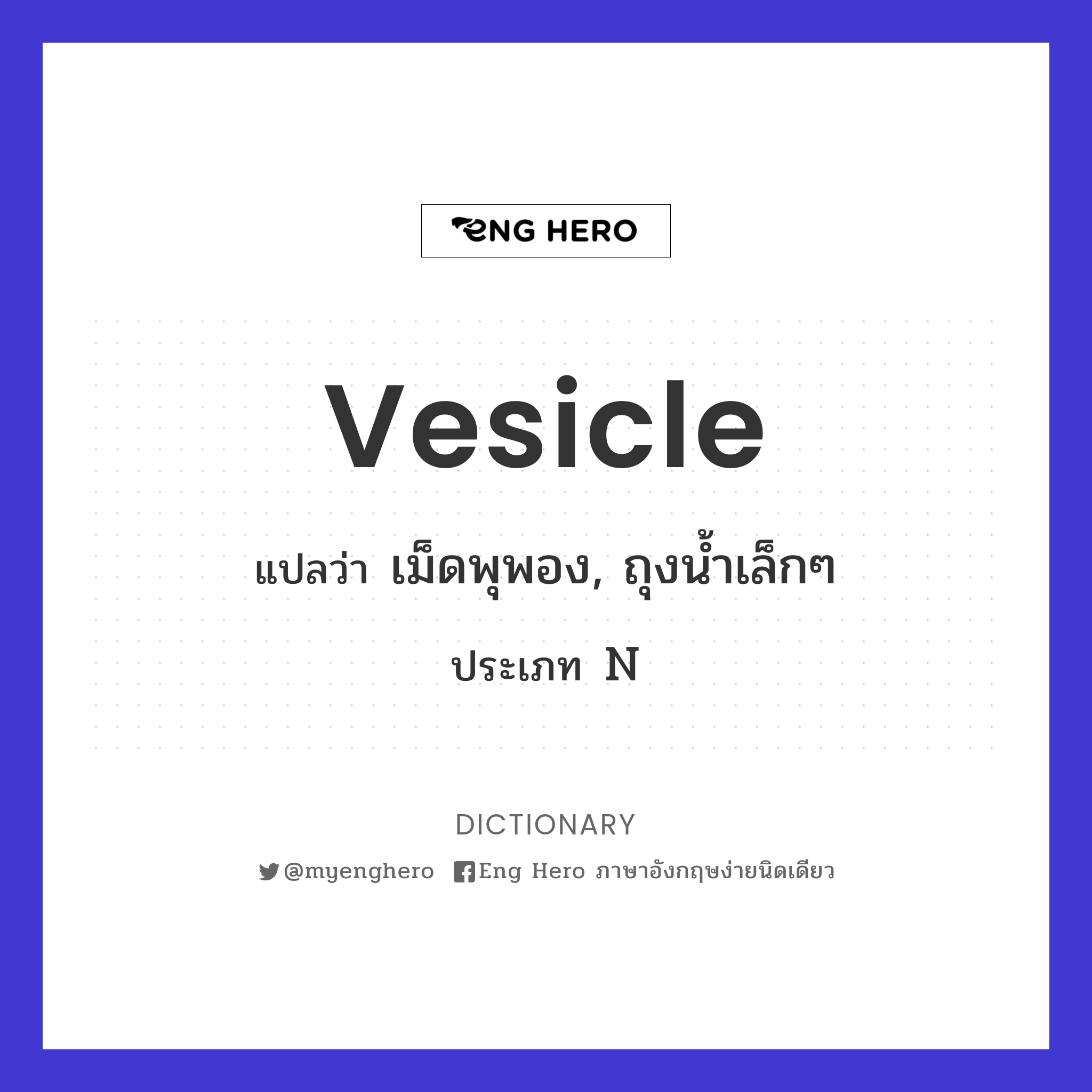 vesicle