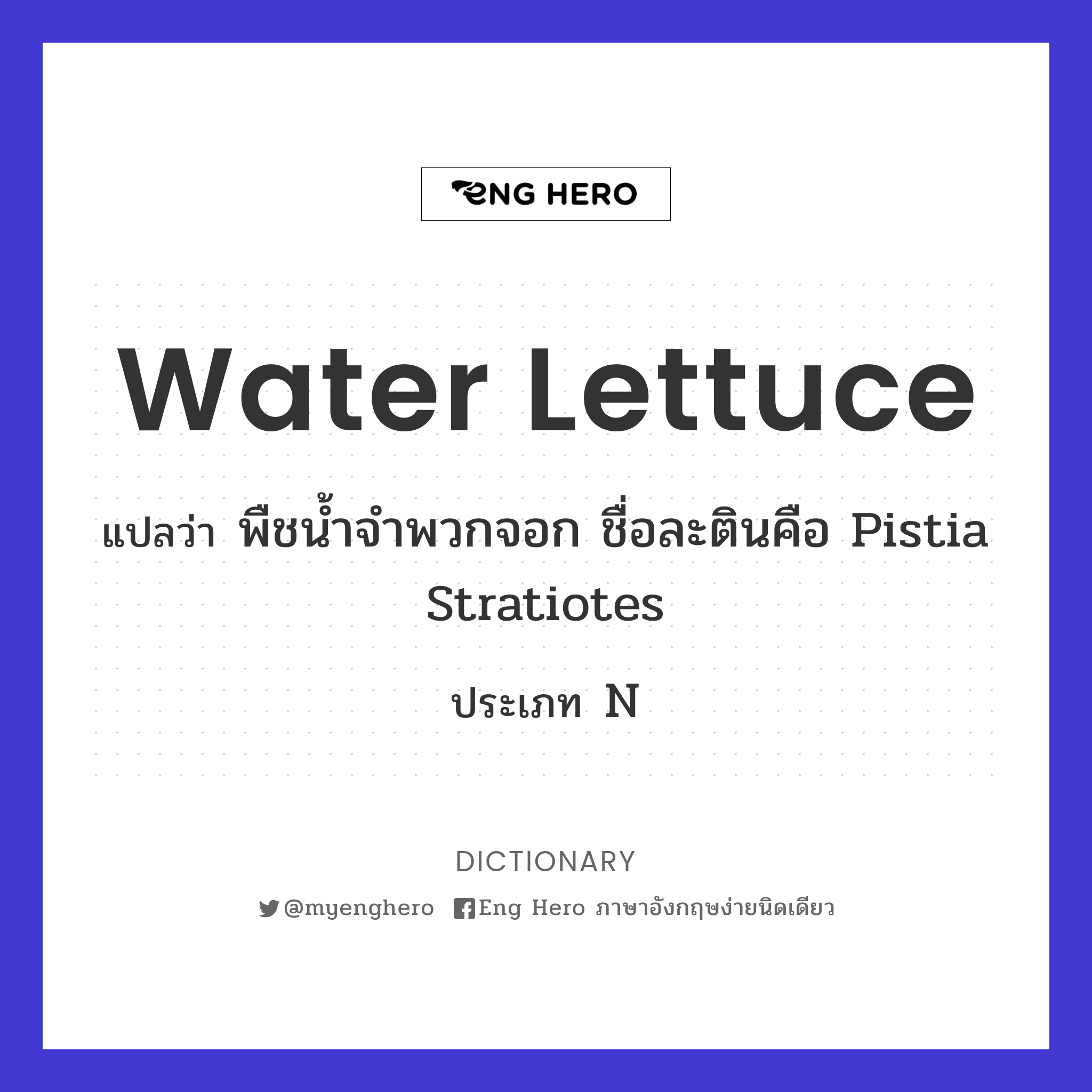 water lettuce