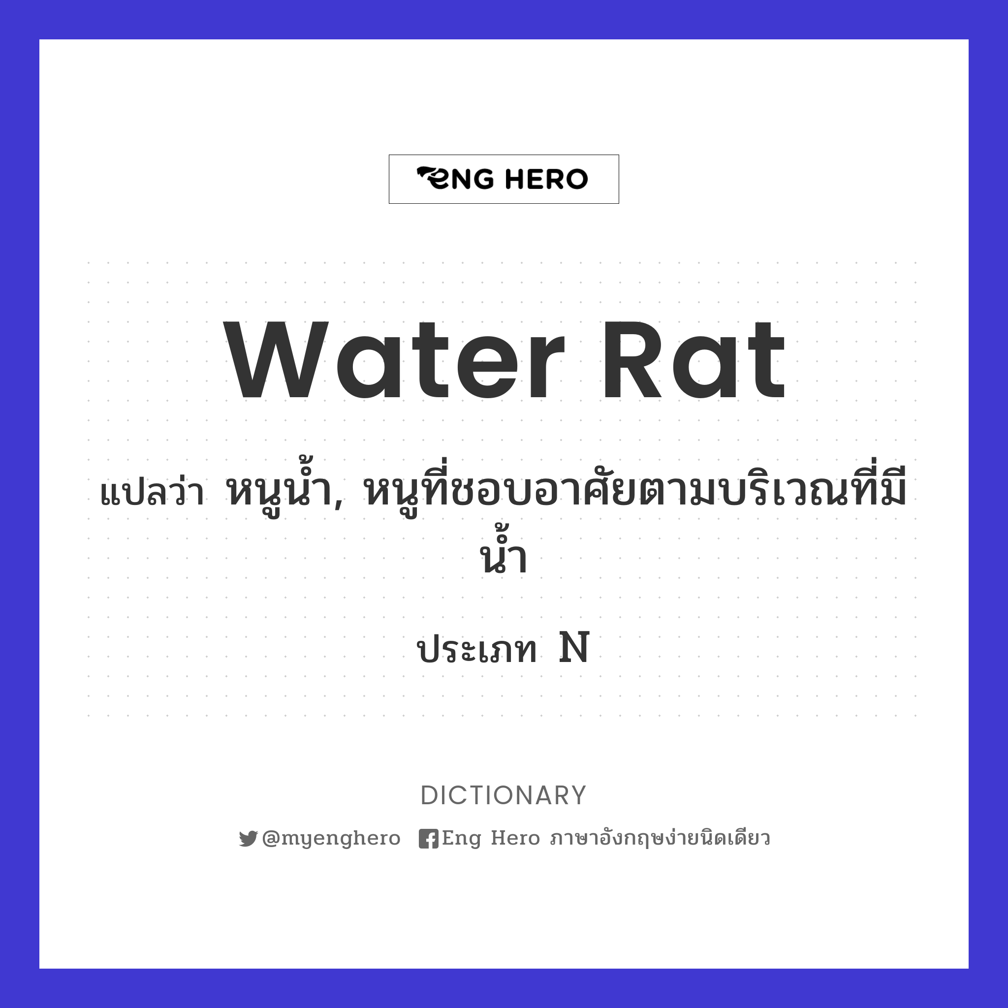 water rat