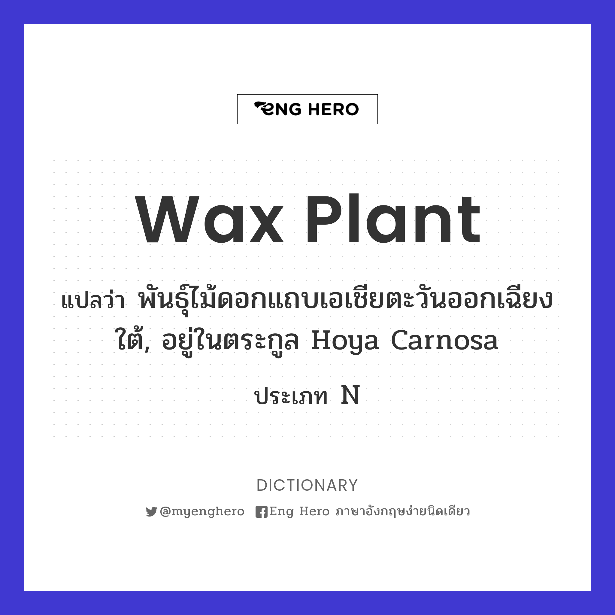 wax plant