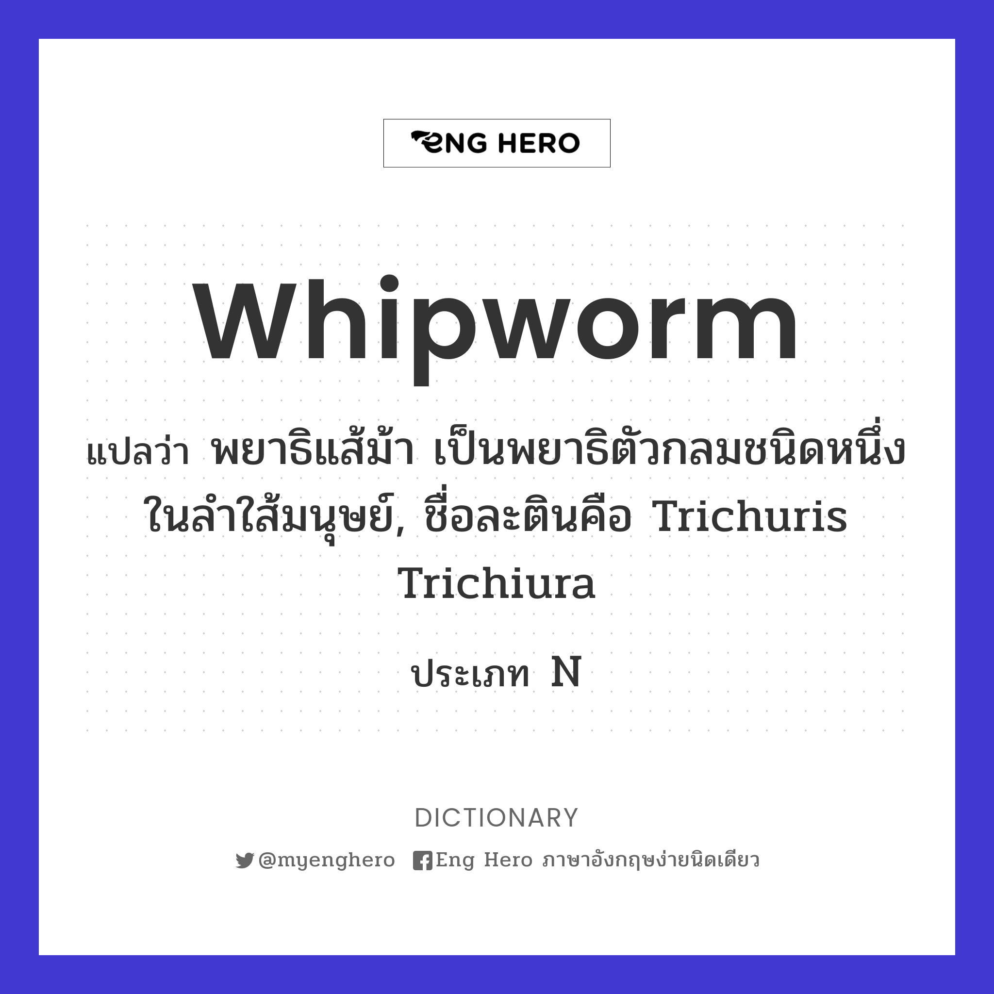 whipworm