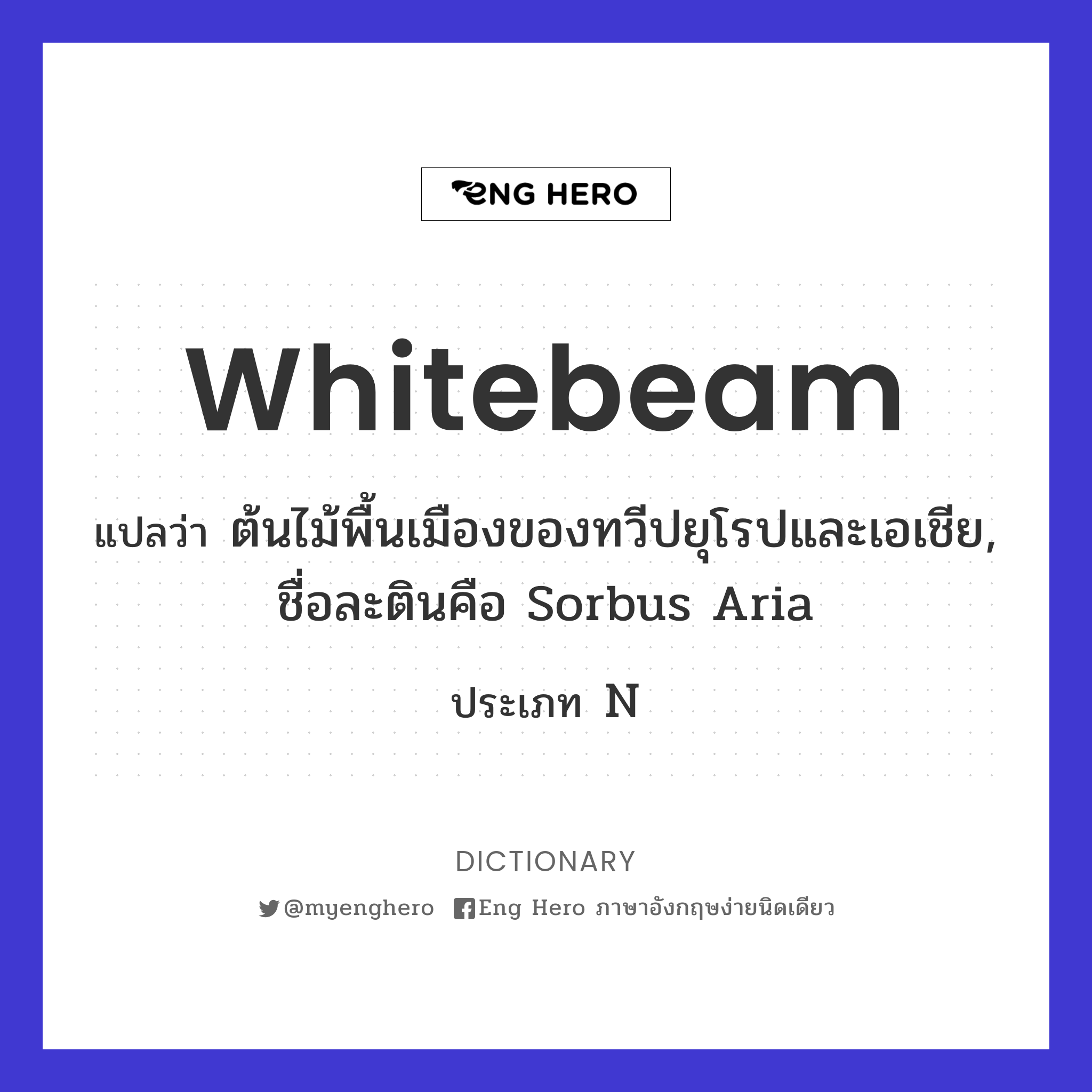 whitebeam