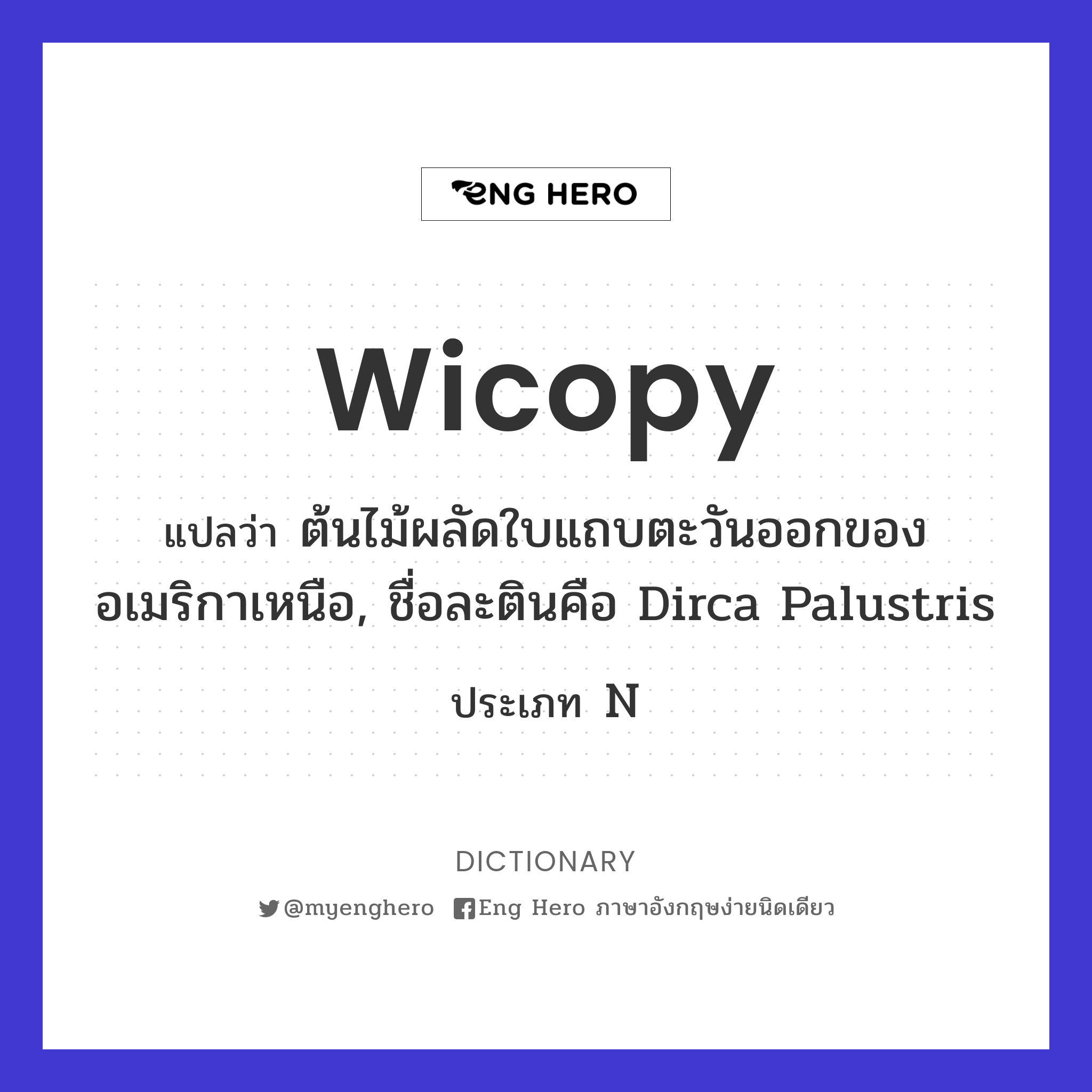 wicopy