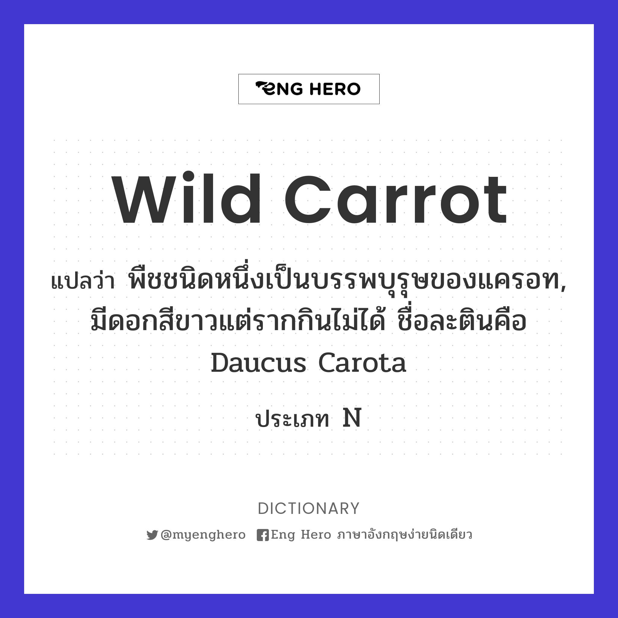 wild carrot