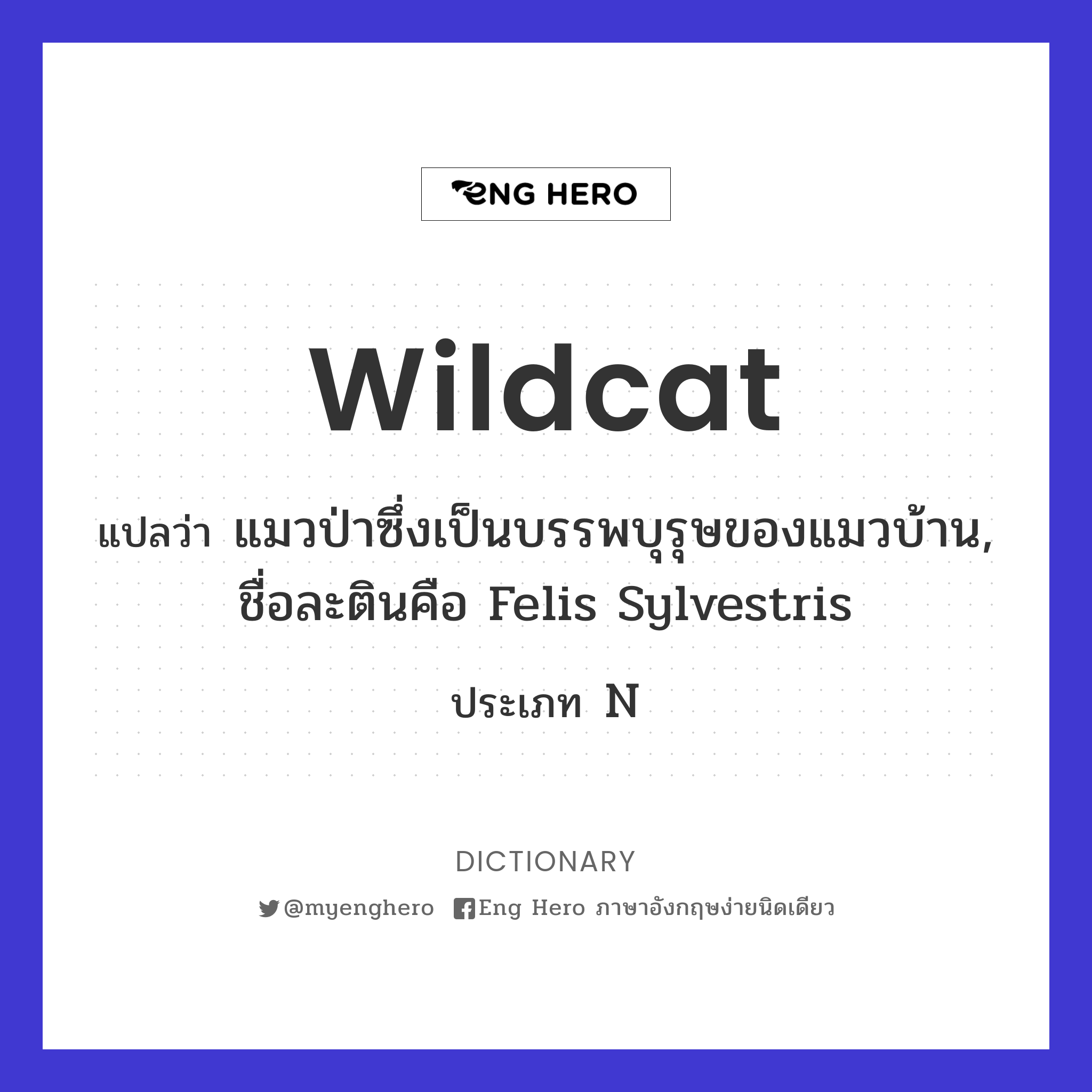 wildcat