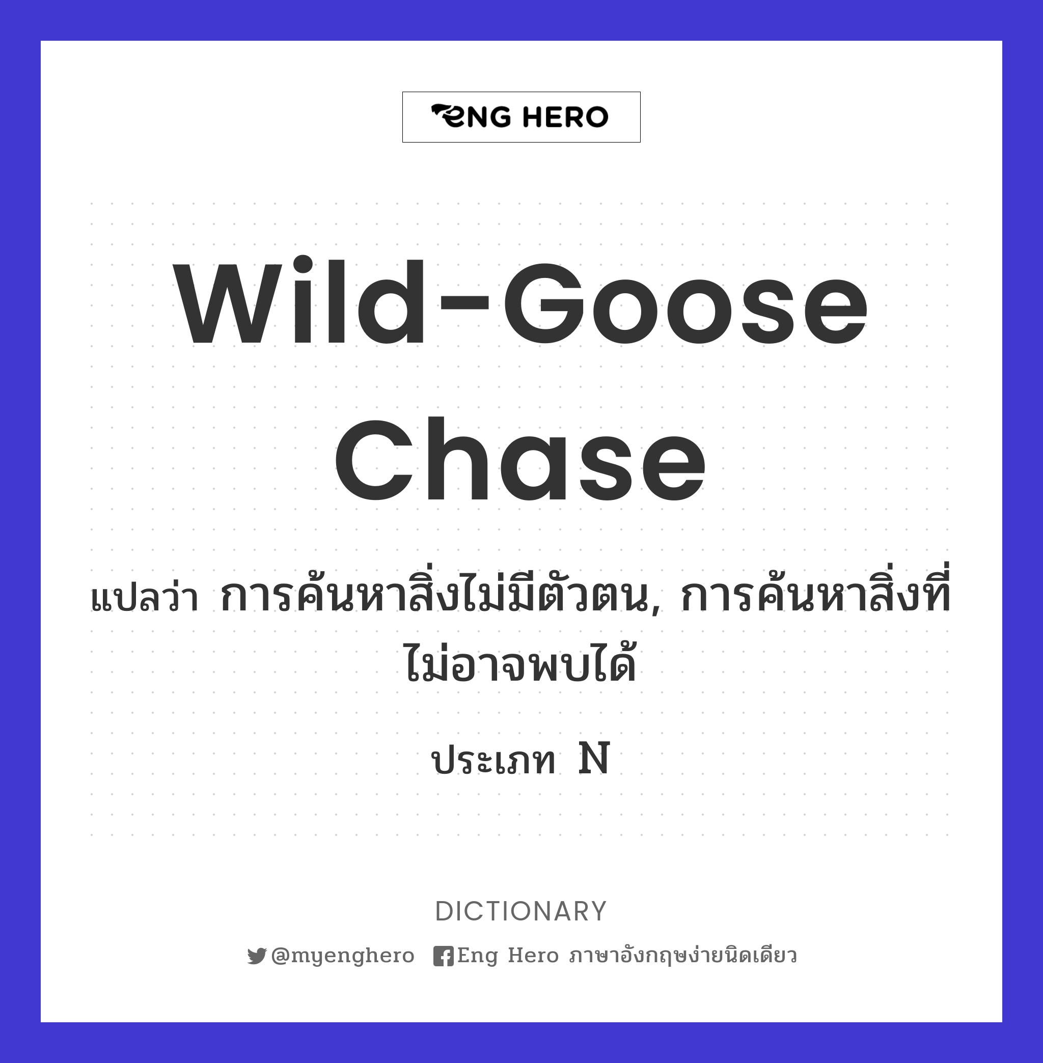 wild-goose chase
