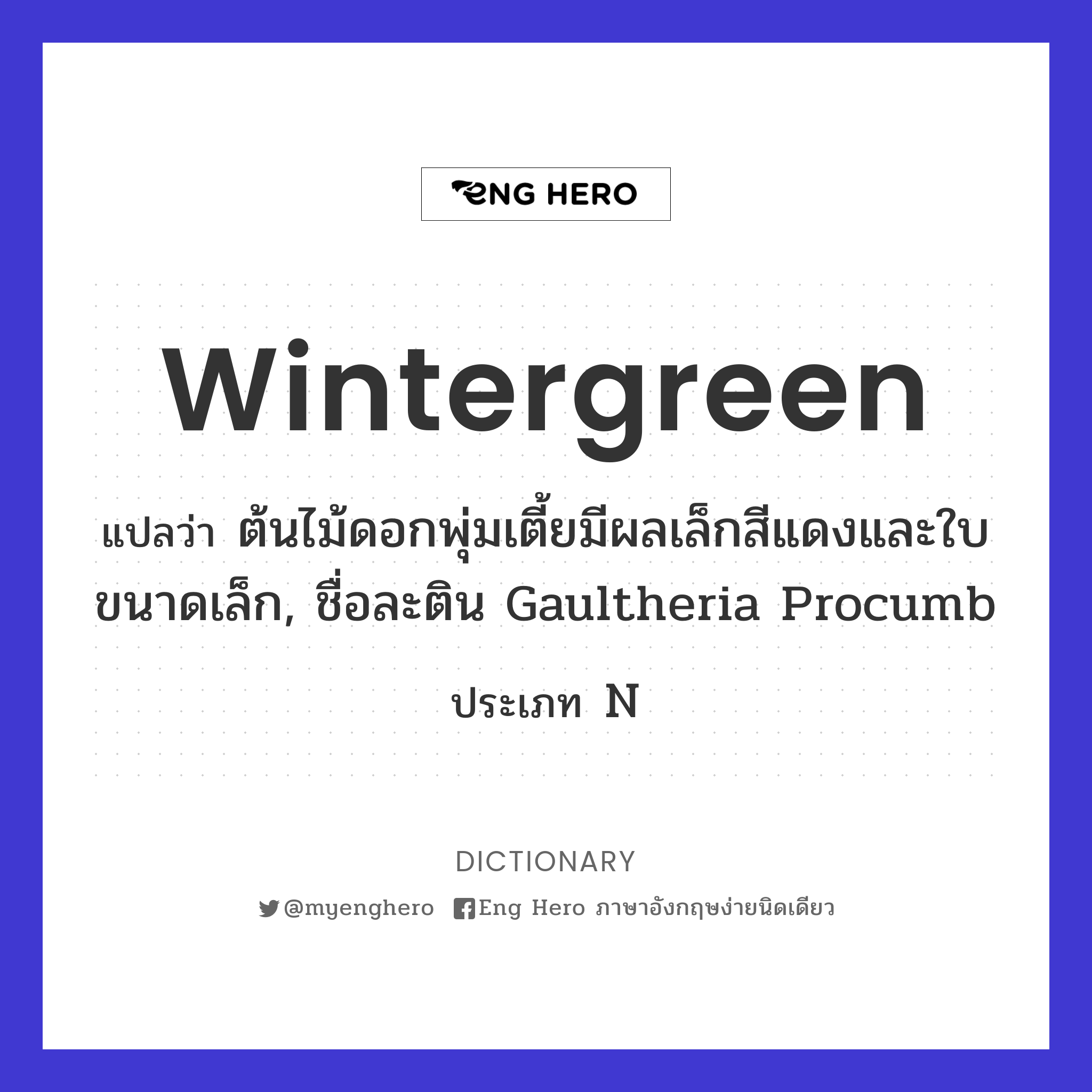 wintergreen