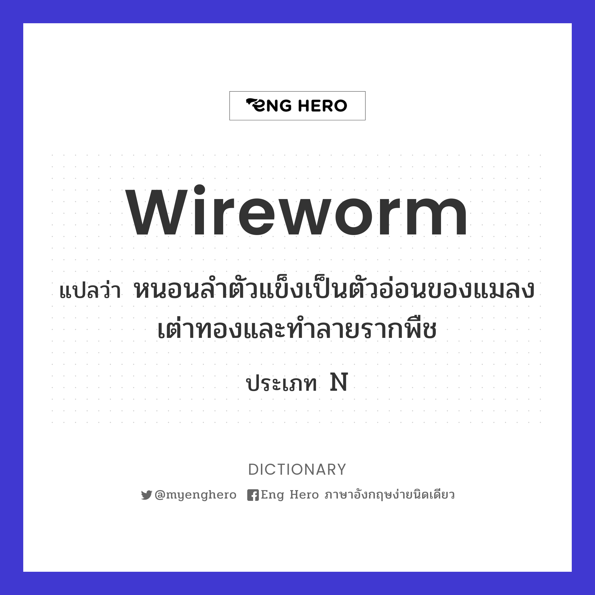 wireworm