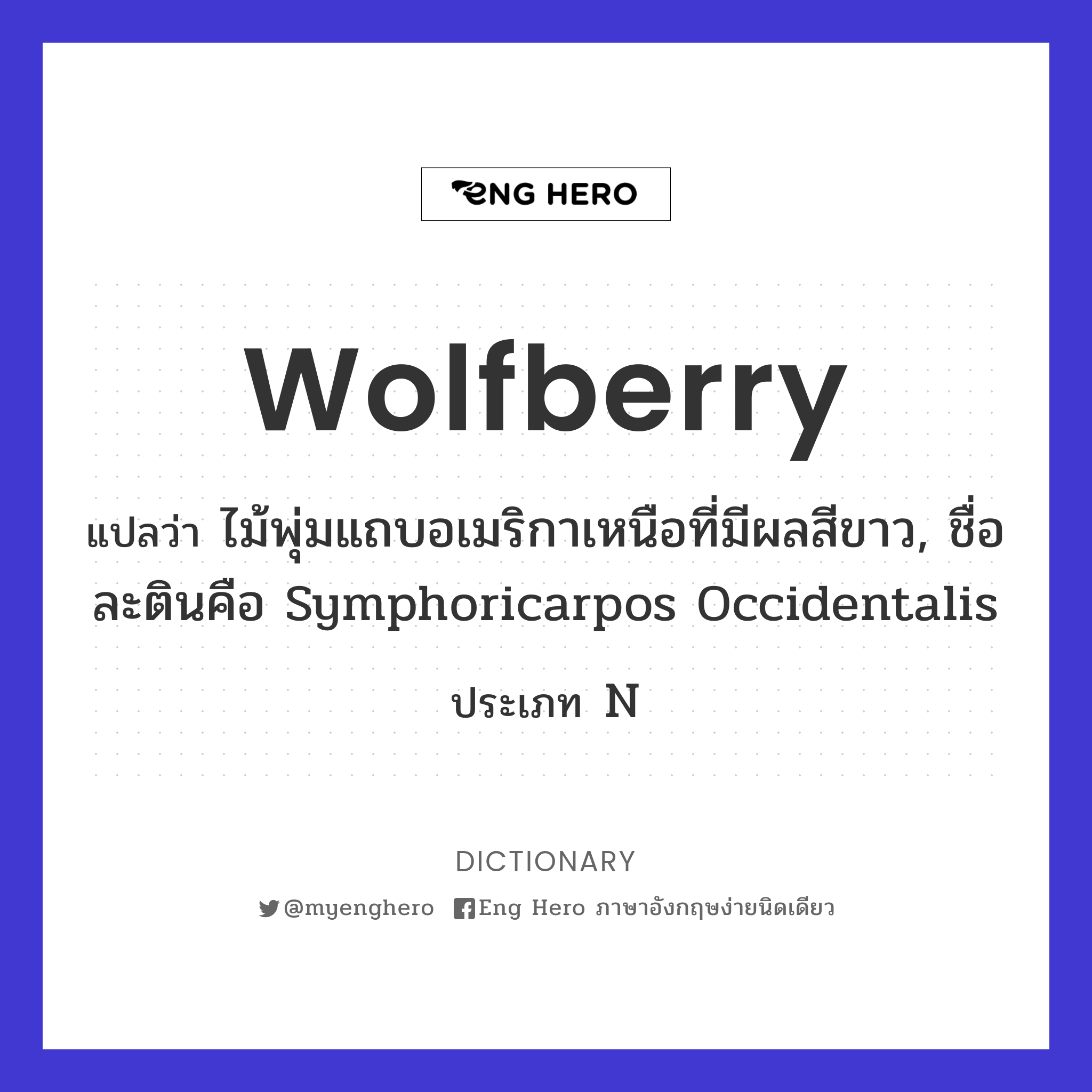 wolfberry