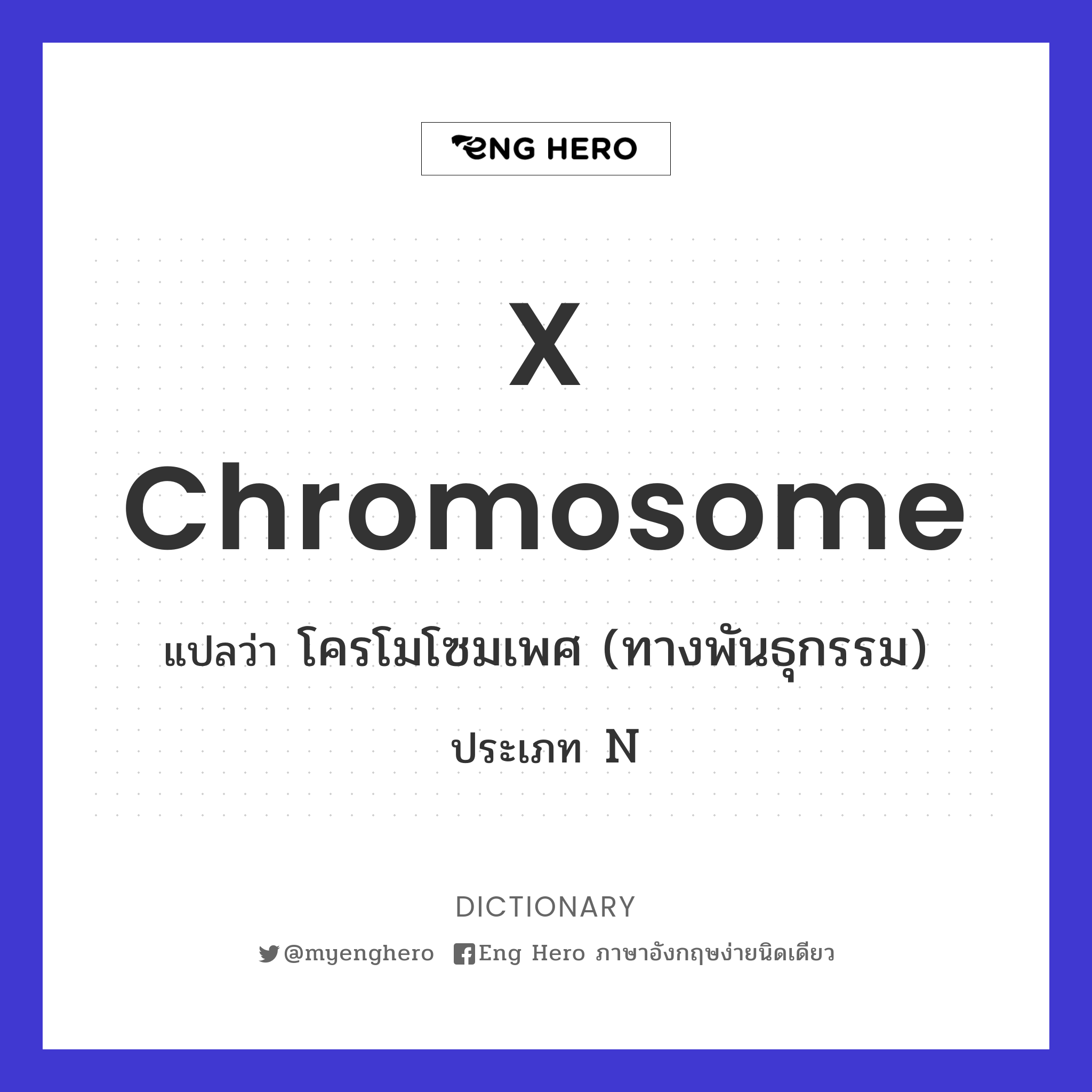x chromosome