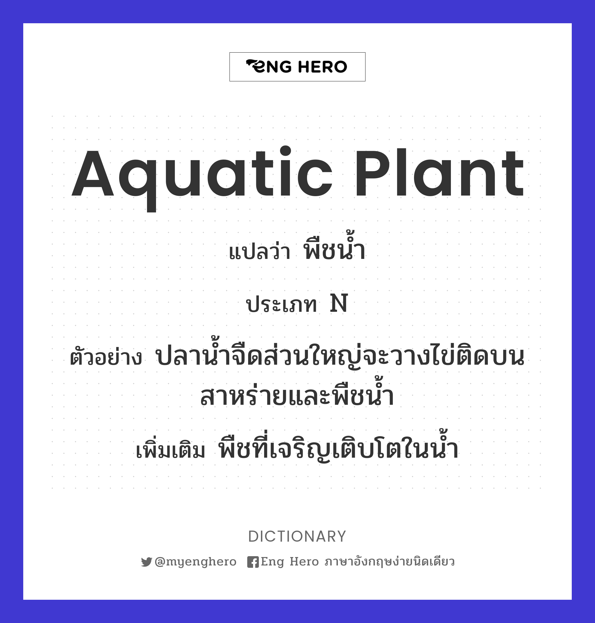 aquatic plant