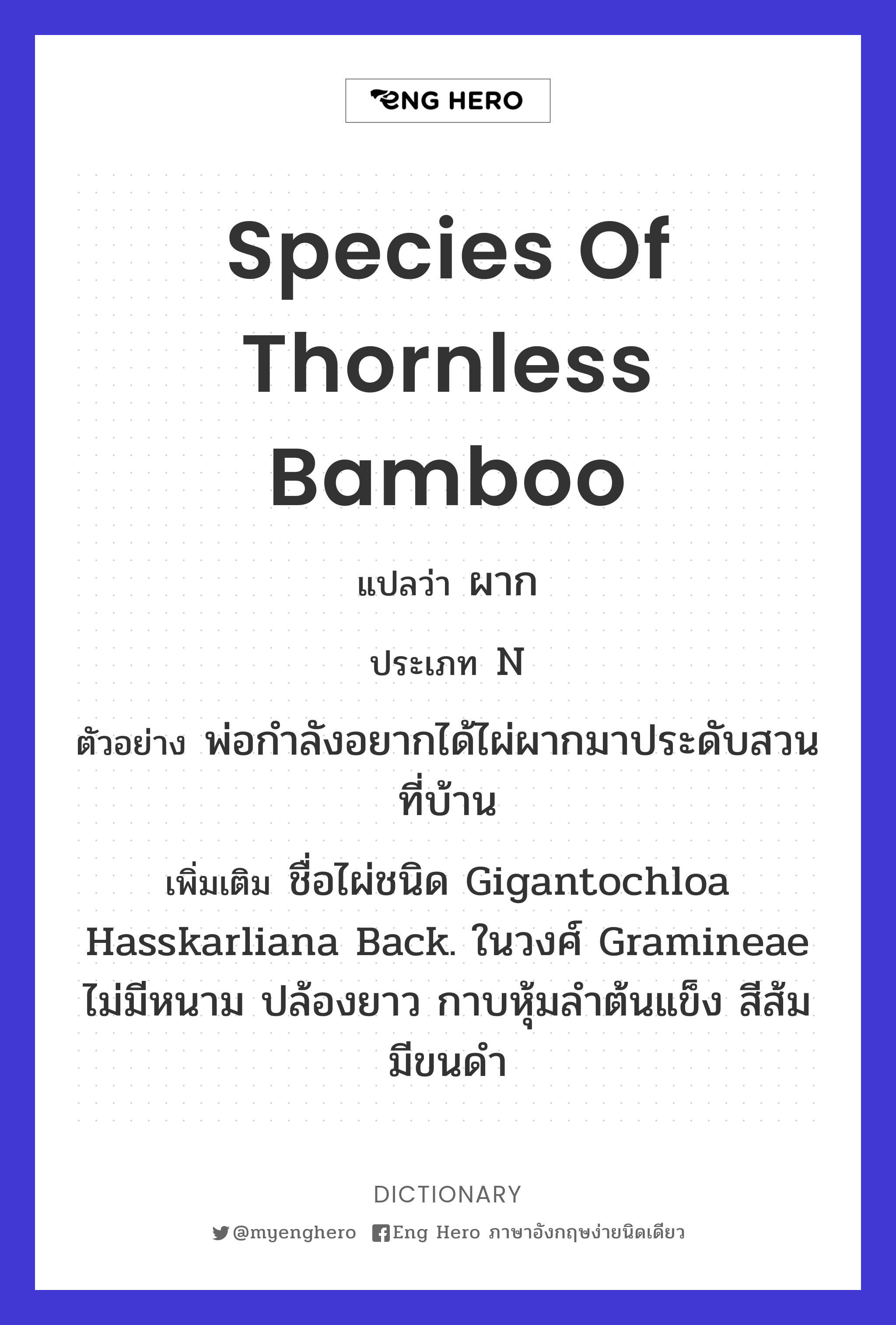 species of thornless bamboo