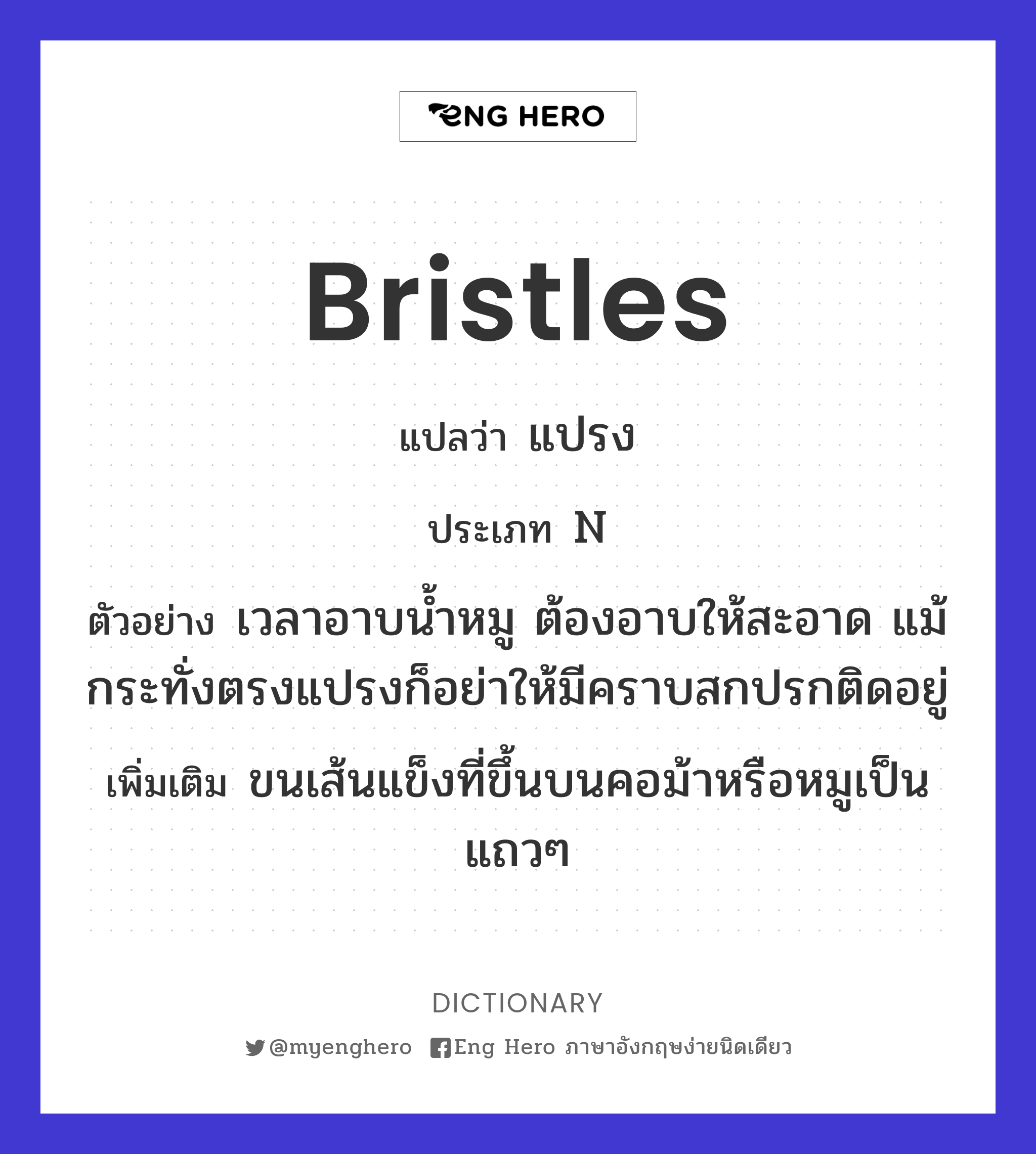 bristles