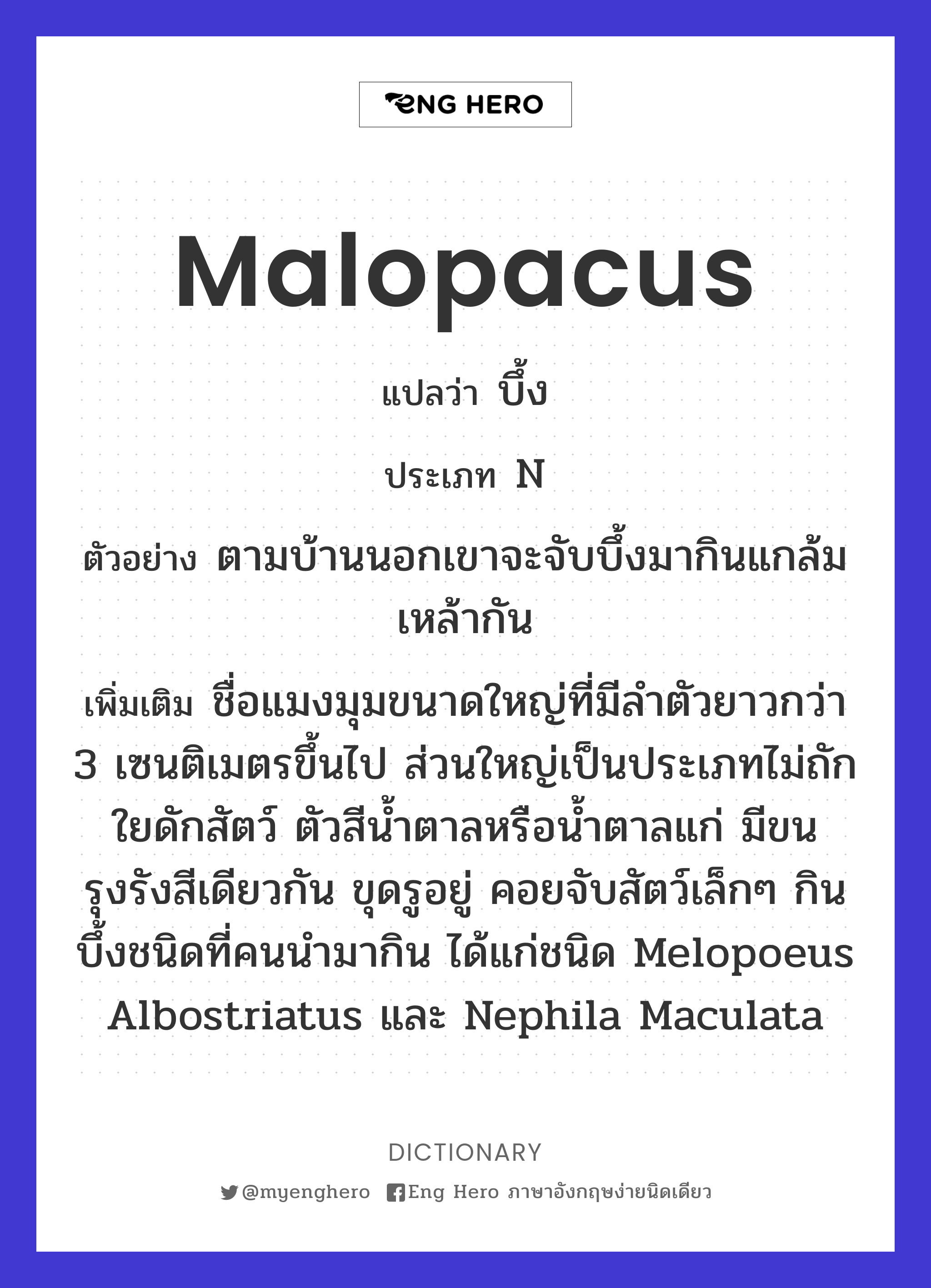 malopacus