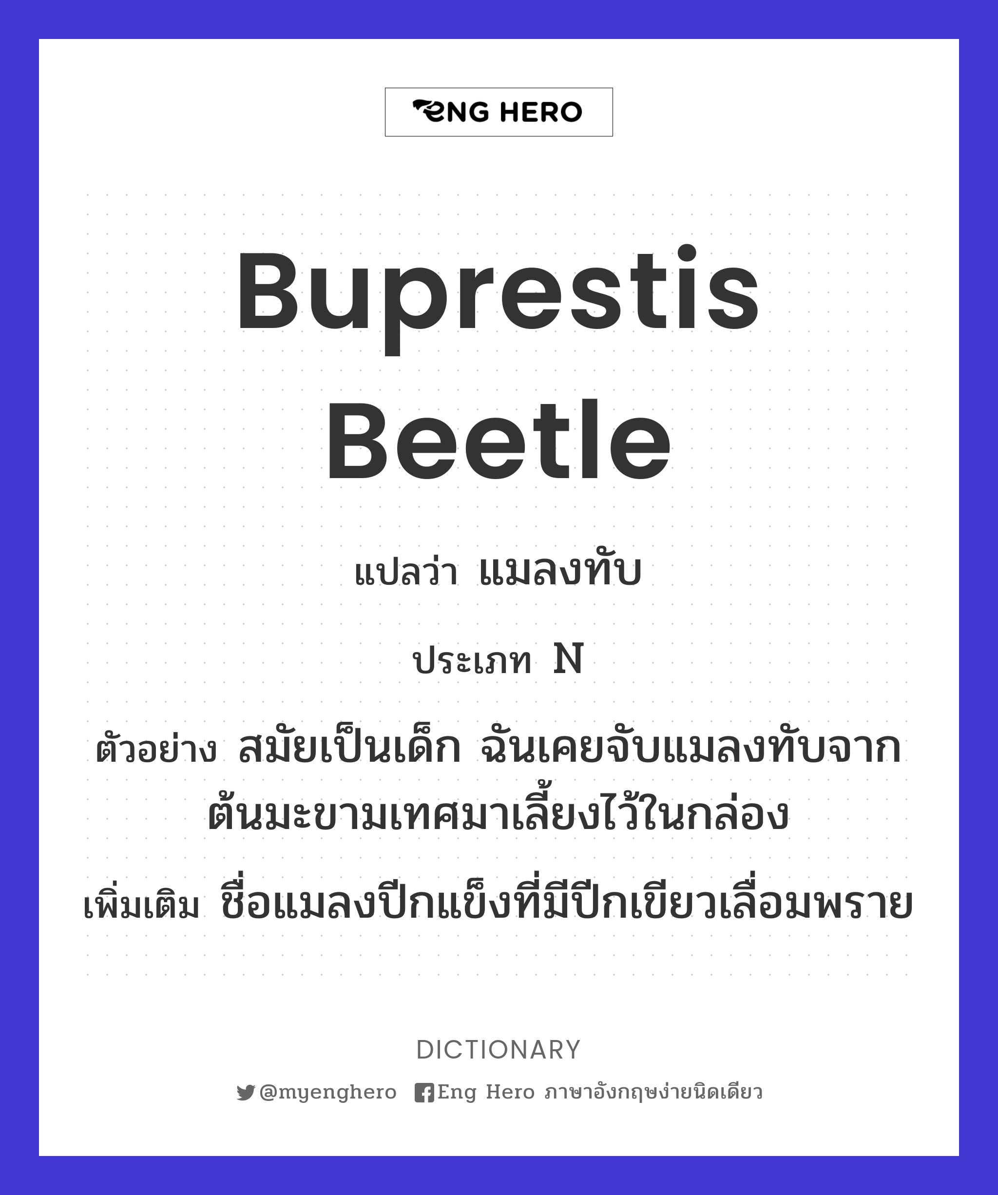 Buprestis beetle