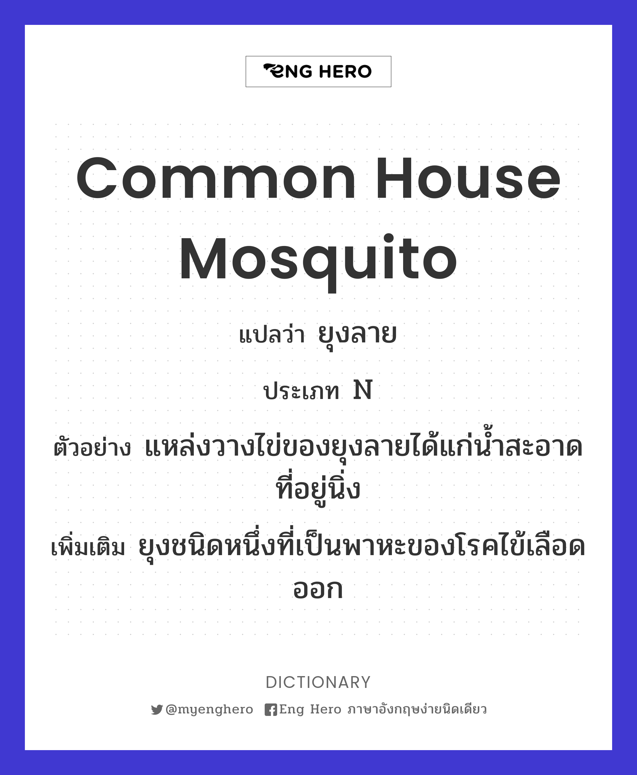 common house mosquito