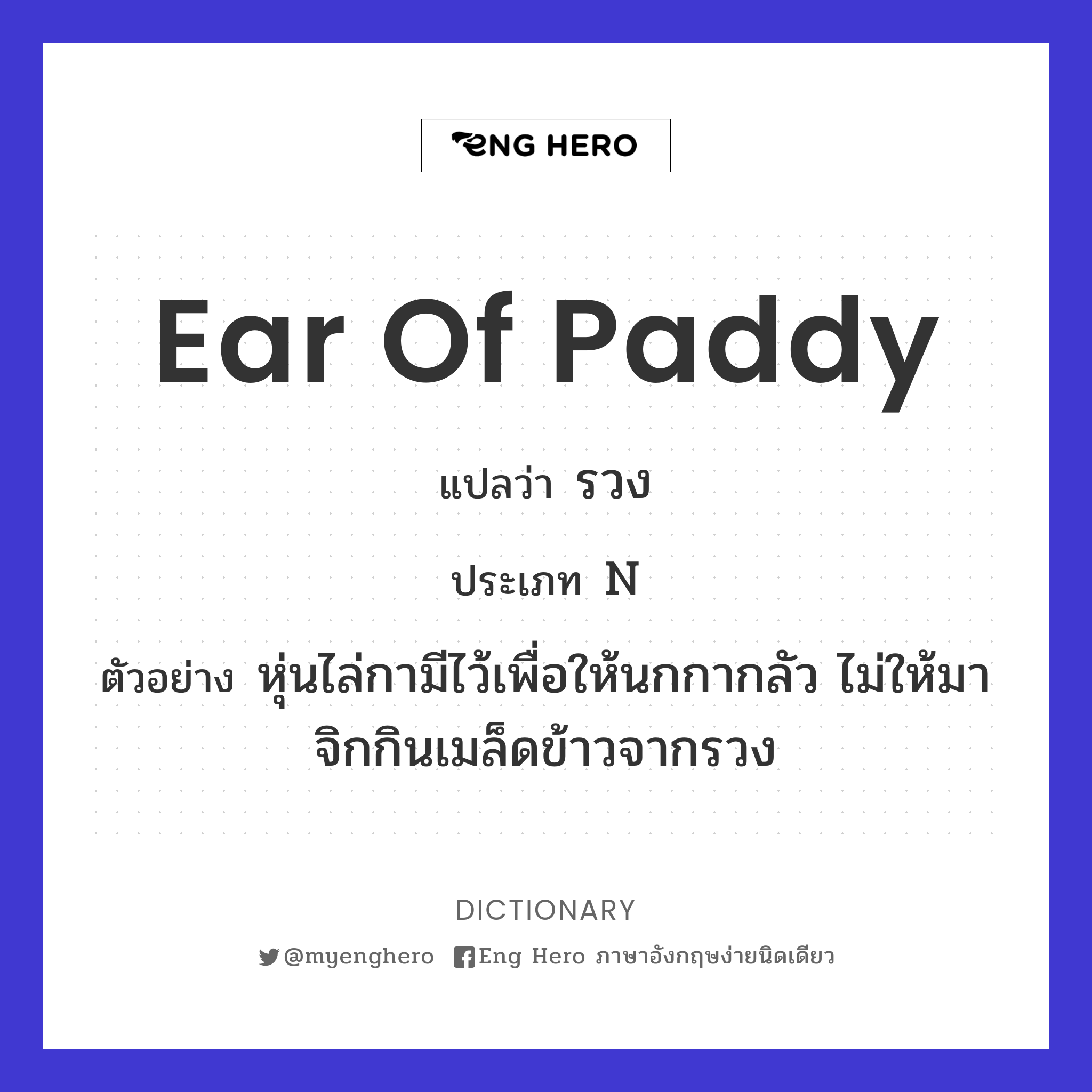 ear of paddy