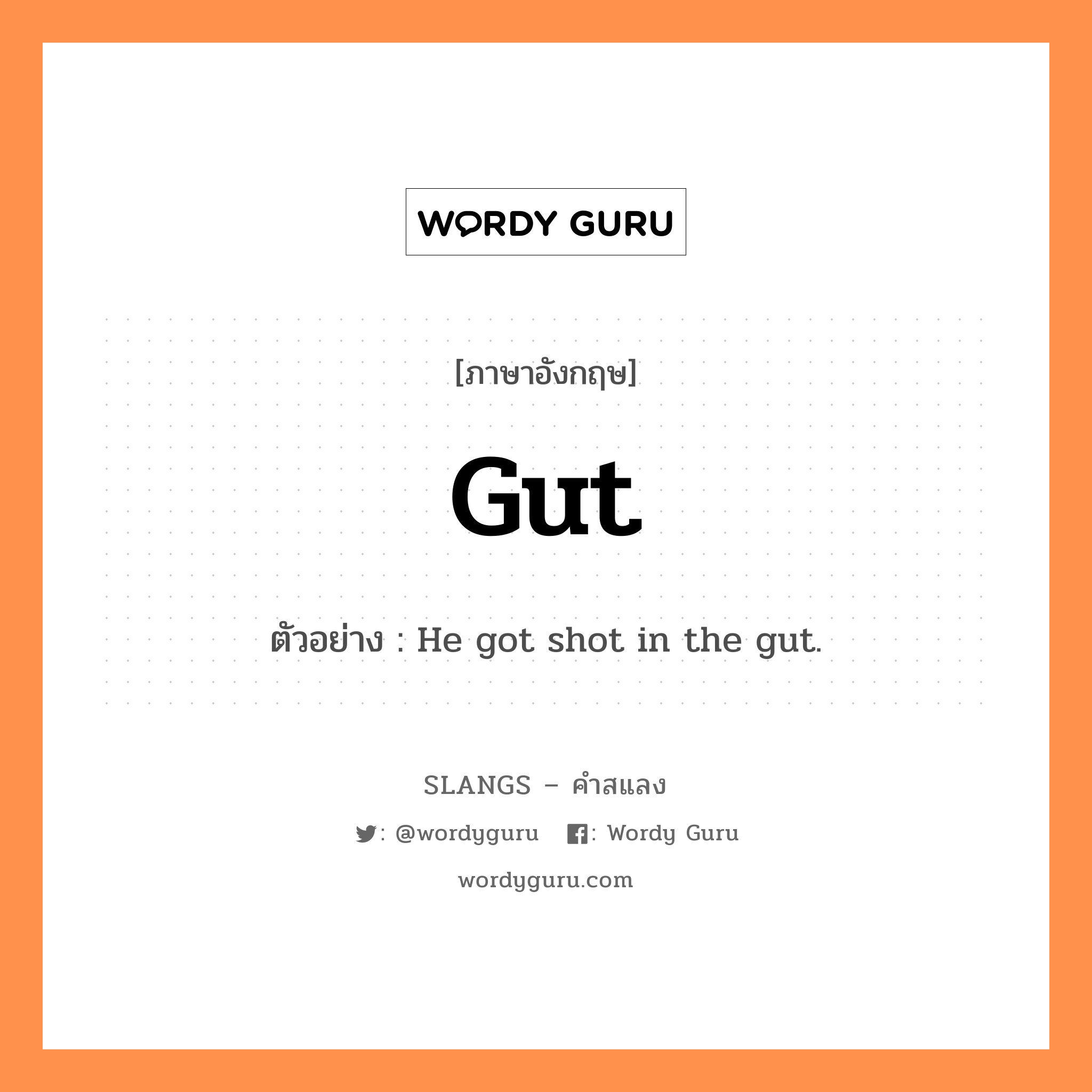gut แปลว่า?, คำสแลงภาษาอังกฤษ gut ตัวอย่าง He got shot in the gut.