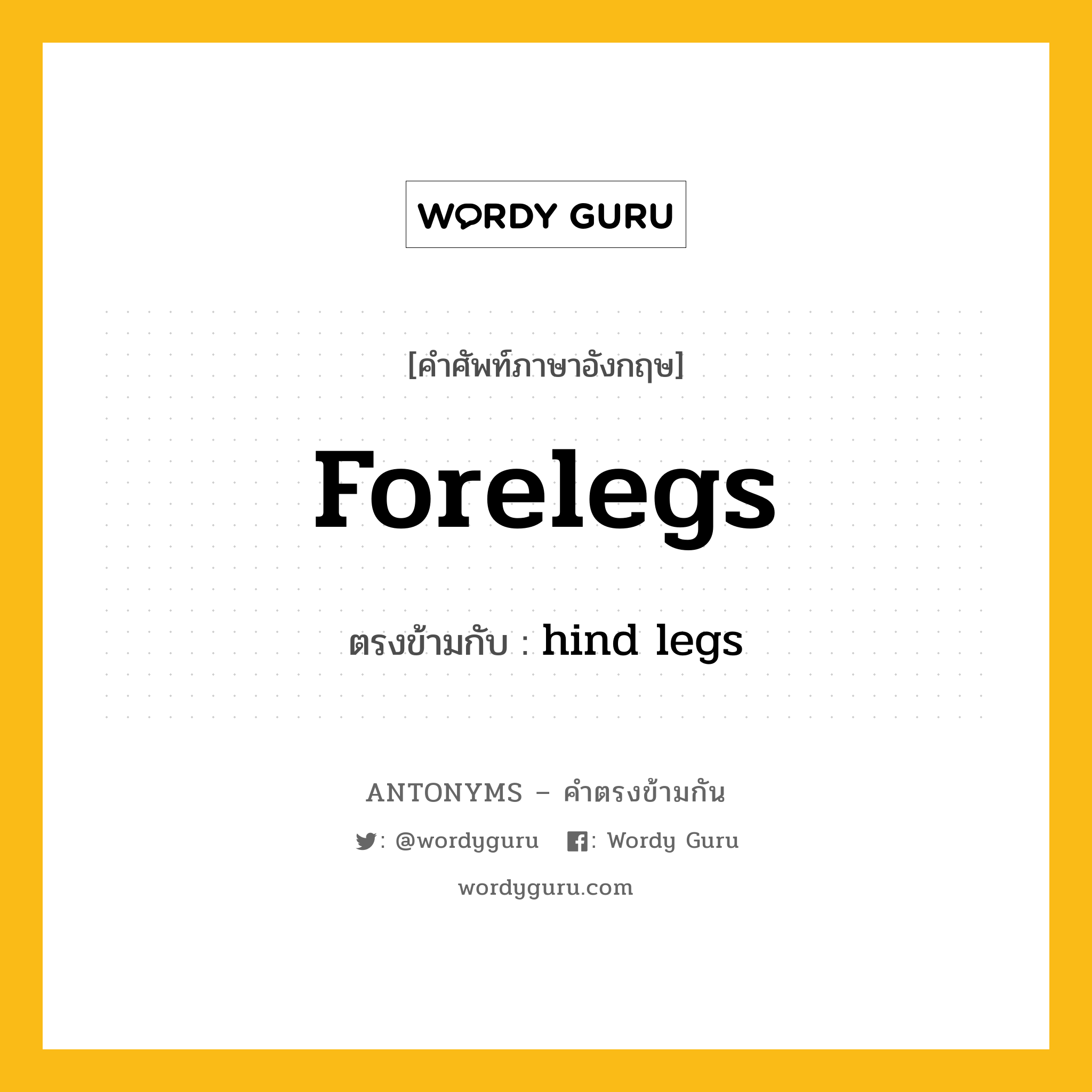 forelegs เป็นคำตรงข้ามกับคำไหนบ้าง?, คำศัพท์ภาษาอังกฤษ forelegs ตรงข้ามกับ hind legs หมวด hind legs