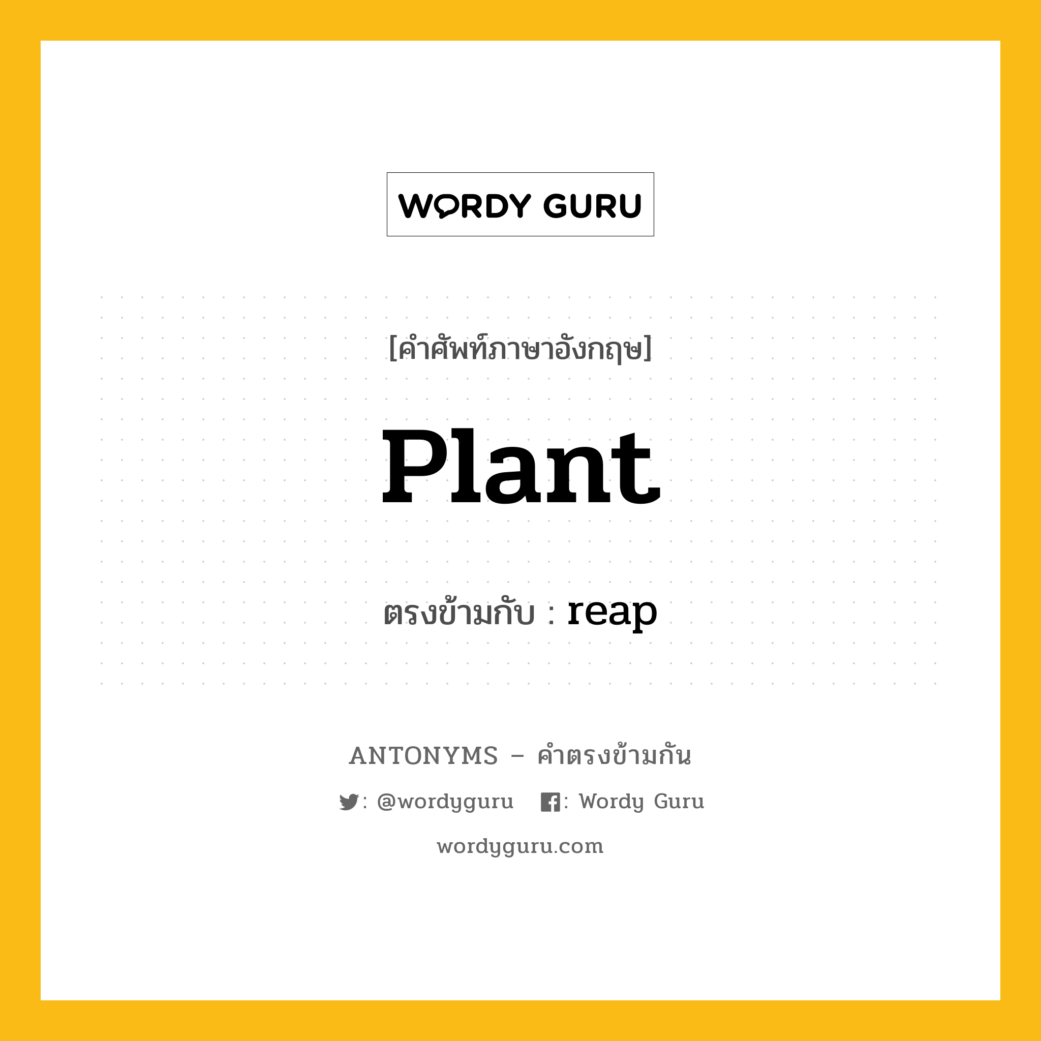plant เป็นคำตรงข้ามกับคำไหนบ้าง?, คำศัพท์ภาษาอังกฤษ plant ตรงข้ามกับ reap หมวด reap
