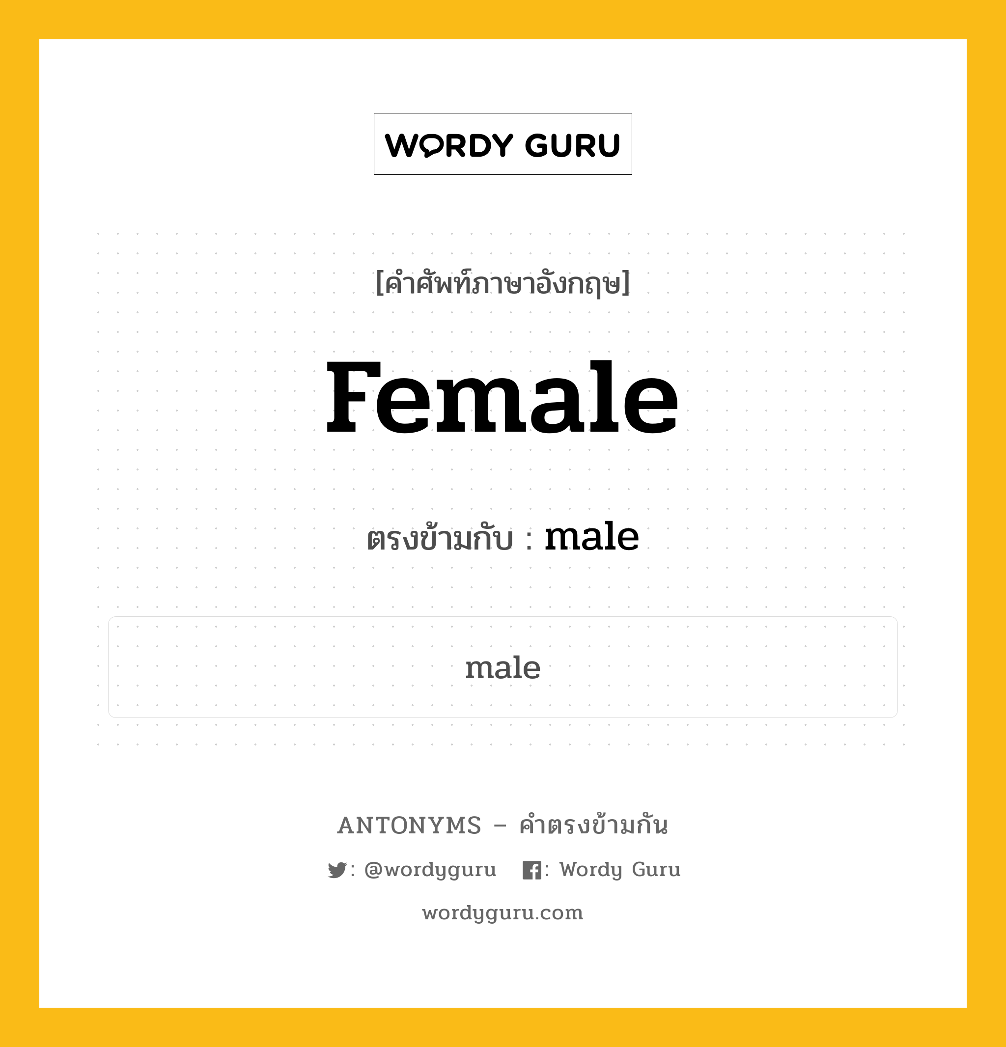 female เป็นคำตรงข้ามกับคำไหนบ้าง?, คำศัพท์ภาษาอังกฤษ female ตรงข้ามกับ male หมวด male