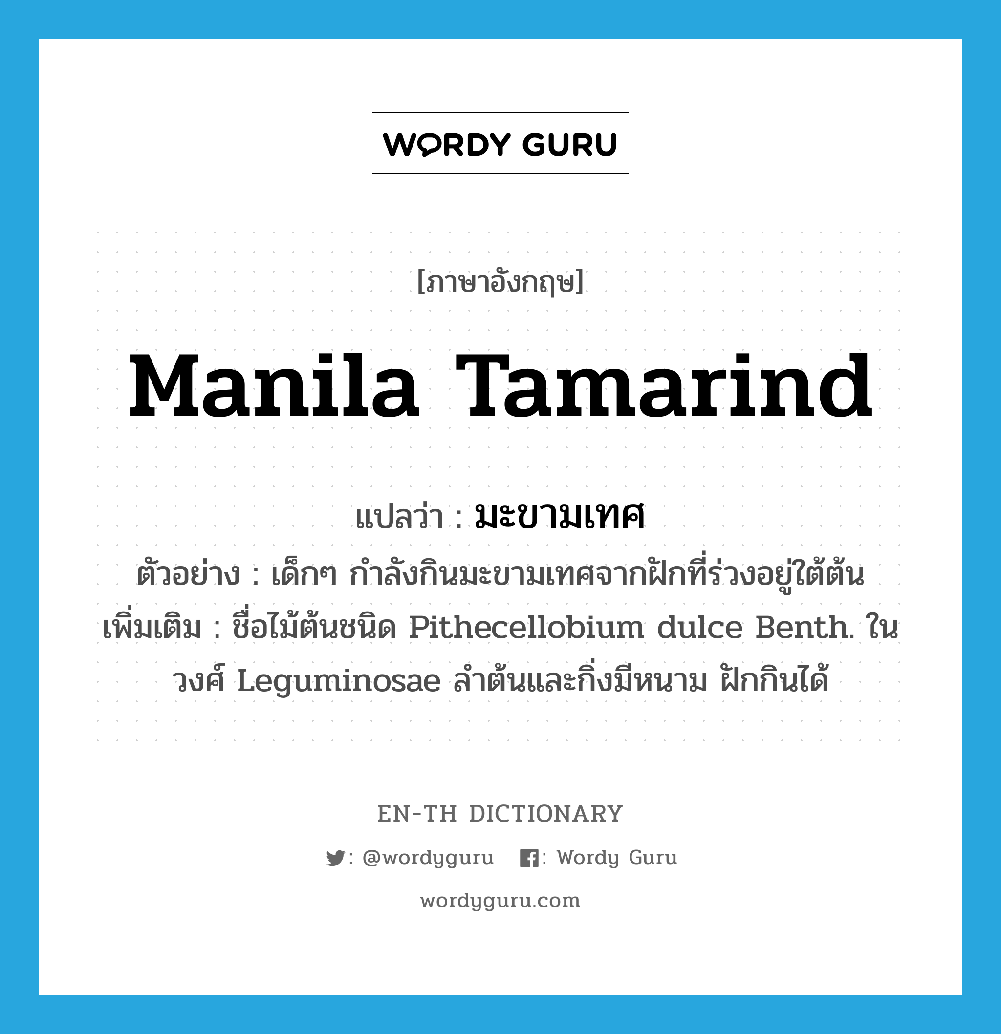Manila tamarind แปลว่า?, คำศัพท์ภาษาอังกฤษ Manila tamarind แปลว่า มะขามเทศ ประเภท N ตัวอย่าง เด็กๆ กำลังกินมะขามเทศจากฝักที่ร่วงอยู่ใต้ต้น เพิ่มเติม ชื่อไม้ต้นชนิด Pithecellobium dulce Benth. ในวงศ์ Leguminosae ลำต้นและกิ่งมีหนาม ฝักกินได้ หมวด N