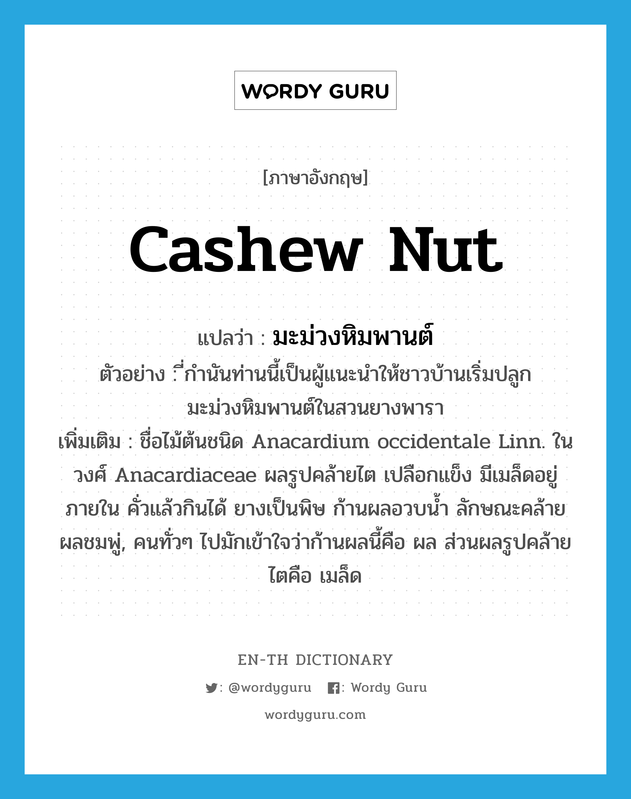 cashew nut แปลว่า?, คำศัพท์ภาษาอังกฤษ cashew nut แปลว่า มะม่วงหิมพานต์ ประเภท N ตัวอย่าง ี่กำนันท่านนี้เป็นผู้แนะนำให้ชาวบ้านเริ่มปลูกมะม่วงหิมพานต์ในสวนยางพารา เพิ่มเติม ชื่อไม้ต้นชนิด Anacardium occidentale Linn. ในวงศ์ Anacardiaceae ผลรูปคล้ายไต เปลือกแข็ง มีเมล็ดอยู่ภายใน คั่วแล้วกินได้ ยางเป็นพิษ ก้านผลอวบน้ำ ลักษณะคล้ายผลชมพู่, คนทั่วๆ ไปมักเข้าใจว่าก้านผลนี้คือ ผล ส่วนผลรูปคล้ายไตคือ เมล็ด หมวด N