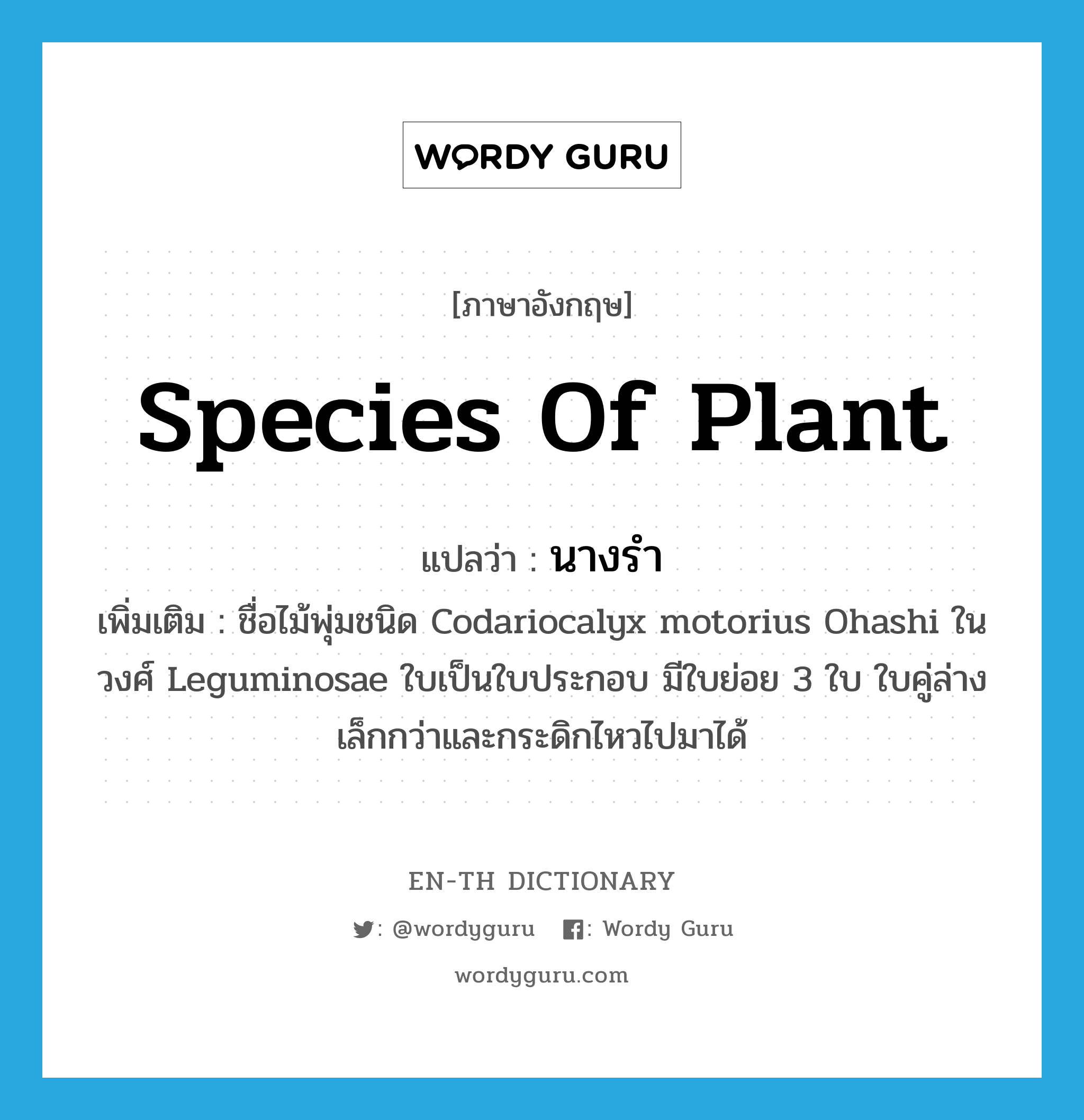 species of plant แปลว่า?, คำศัพท์ภาษาอังกฤษ species of plant แปลว่า นางรำ ประเภท N เพิ่มเติม ชื่อไม้พุ่มชนิด Codariocalyx motorius Ohashi ในวงศ์ Leguminosae ใบเป็นใบประกอบ มีใบย่อย 3 ใบ ใบคู่ล่างเล็กกว่าและกระดิกไหวไปมาได้ หมวด N