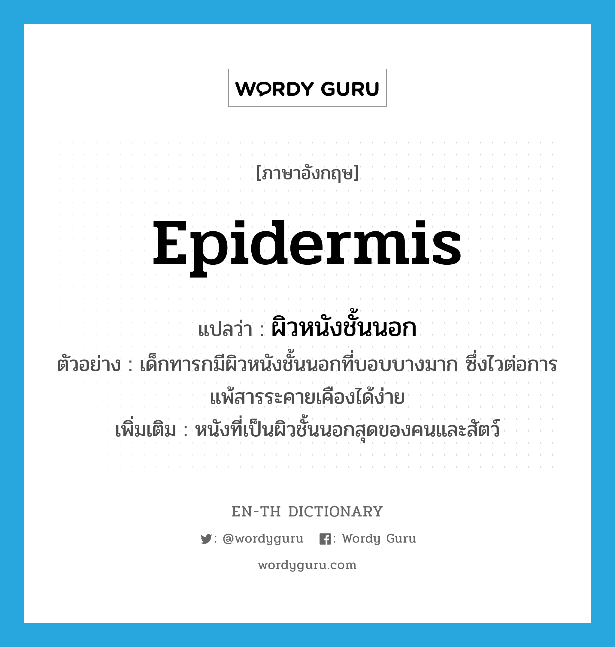 epidermis แปลว่า?, คำศัพท์ภาษาอังกฤษ epidermis แปลว่า ผิวหนังชั้นนอก ประเภท N ตัวอย่าง เด็กทารกมีผิวหนังชั้นนอกที่บอบบางมาก ซึ่งไวต่อการแพ้สารระคายเคืองได้ง่าย เพิ่มเติม หนังที่เป็นผิวชั้นนอกสุดของคนและสัตว์ หมวด N