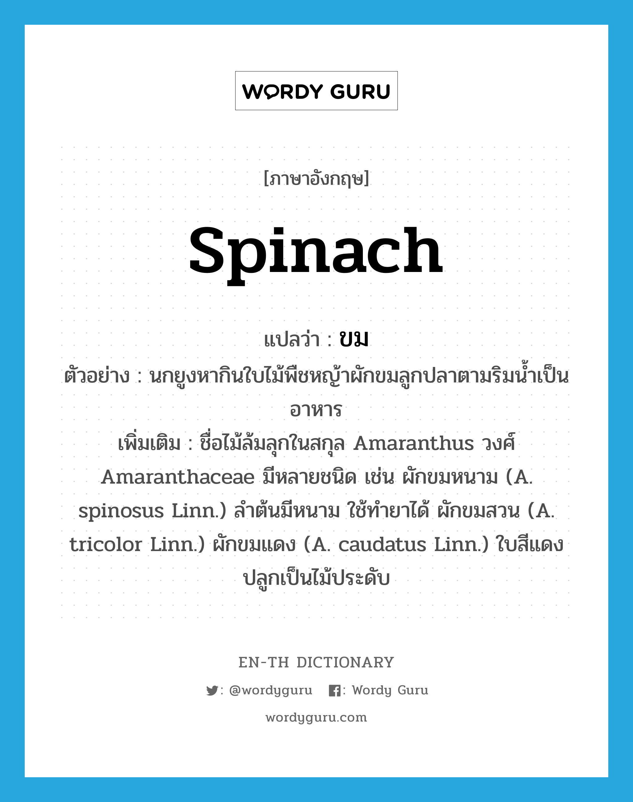 spinach แปลว่า?, คำศัพท์ภาษาอังกฤษ spinach แปลว่า ขม ประเภท N ตัวอย่าง นกยูงหากินใบไม้พืชหญ้าผักขมลูกปลาตามริมน้ำเป็นอาหาร เพิ่มเติม ชื่อไม้ล้มลุกในสกุล Amaranthus วงศ์ Amaranthaceae มีหลายชนิด เช่น ผักขมหนาม (A. spinosus Linn.) ลำต้นมีหนาม ใช้ทำยาได้ ผักขมสวน (A. tricolor Linn.) ผักขมแดง (A. caudatus Linn.) ใบสีแดง ปลูกเป็นไม้ประดับ หมวด N