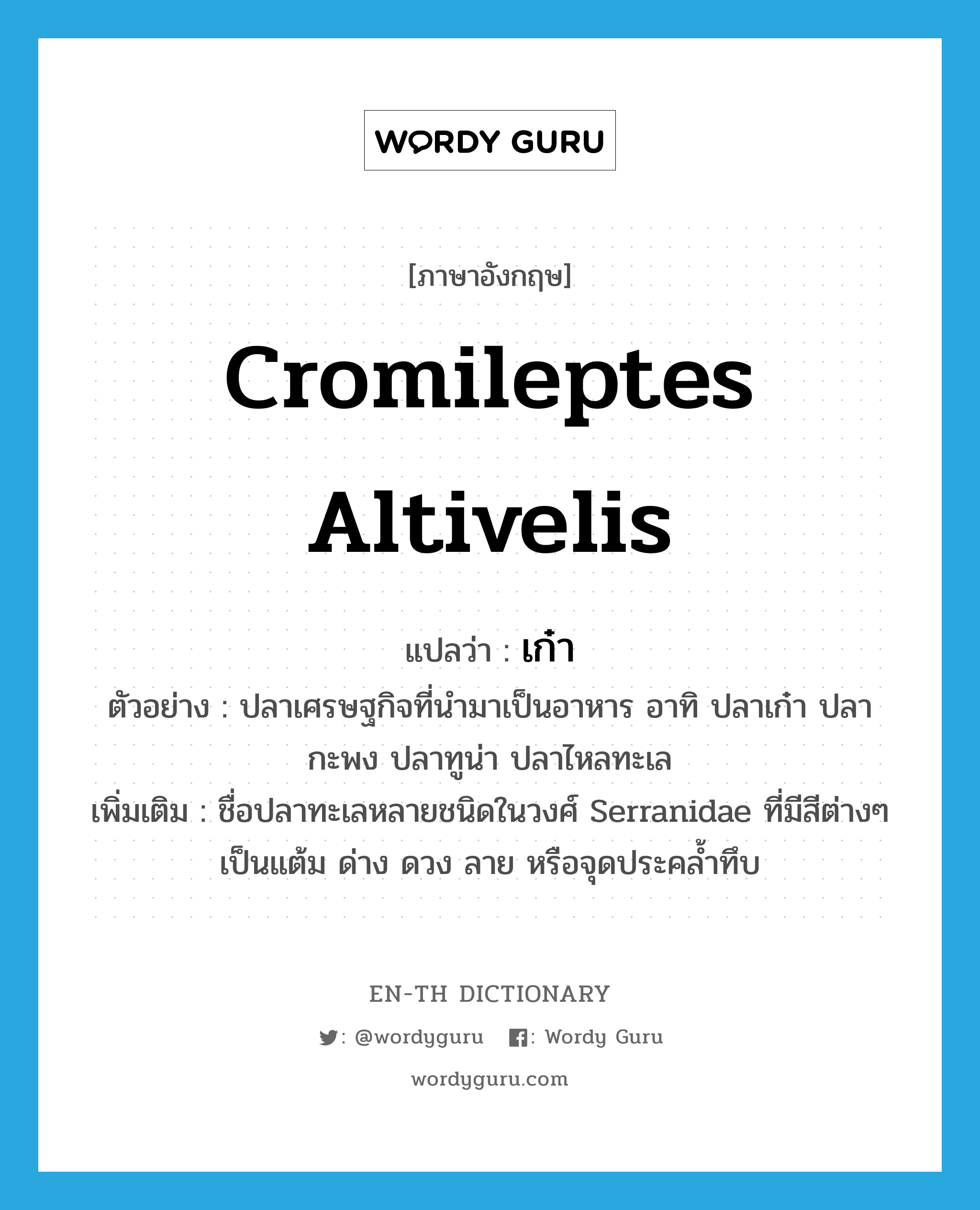 Cromileptes altivelis แปลว่า?, คำศัพท์ภาษาอังกฤษ Cromileptes altivelis แปลว่า เก๋า ประเภท N ตัวอย่าง ปลาเศรษฐกิจที่นำมาเป็นอาหาร อาทิ ปลาเก๋า ปลากะพง ปลาทูน่า ปลาไหลทะเล เพิ่มเติม ชื่อปลาทะเลหลายชนิดในวงศ์ Serranidae ที่มีสีต่างๆ เป็นแต้ม ด่าง ดวง ลาย หรือจุดประคล้ำทึบ หมวด N