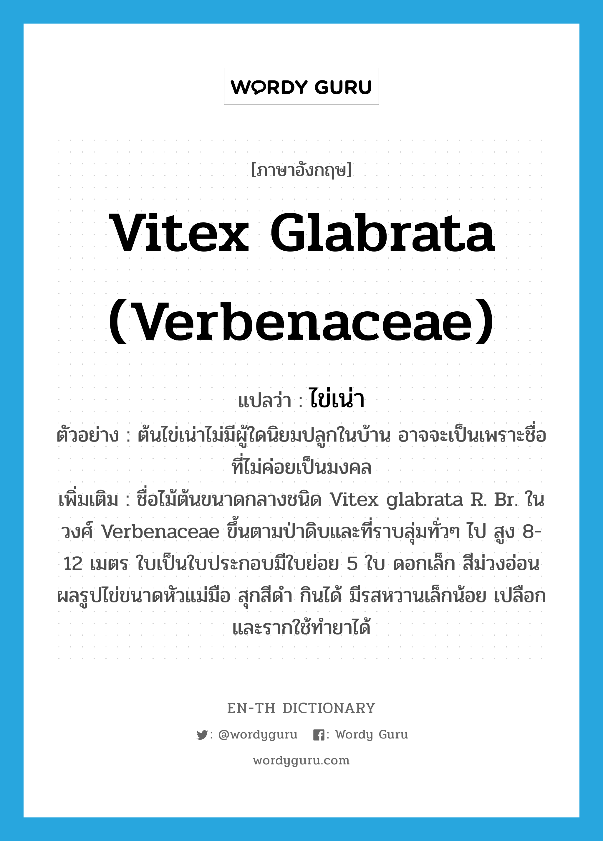 Vitex glabrata (Verbenaceae) แปลว่า?, คำศัพท์ภาษาอังกฤษ Vitex glabrata (Verbenaceae) แปลว่า ไข่เน่า ประเภท N ตัวอย่าง ต้นไข่เน่าไม่มีผู้ใดนิยมปลูกในบ้าน อาจจะเป็นเพราะชื่อที่ไม่ค่อยเป็นมงคล เพิ่มเติม ชื่อไม้ต้นขนาดกลางชนิด Vitex glabrata R. Br. ในวงศ์ Verbenaceae ขึ้นตามป่าดิบและที่ราบลุ่มทั่วๆ ไป สูง 8-12 เมตร ใบเป็นใบประกอบมีใบย่อย 5 ใบ ดอกเล็ก สีม่วงอ่อน ผลรูปไข่ขนาดหัวแม่มือ สุกสีดำ กินได้ มีรสหวานเล็กน้อย เปลือกและรากใช้ทำยาได้ หมวด N