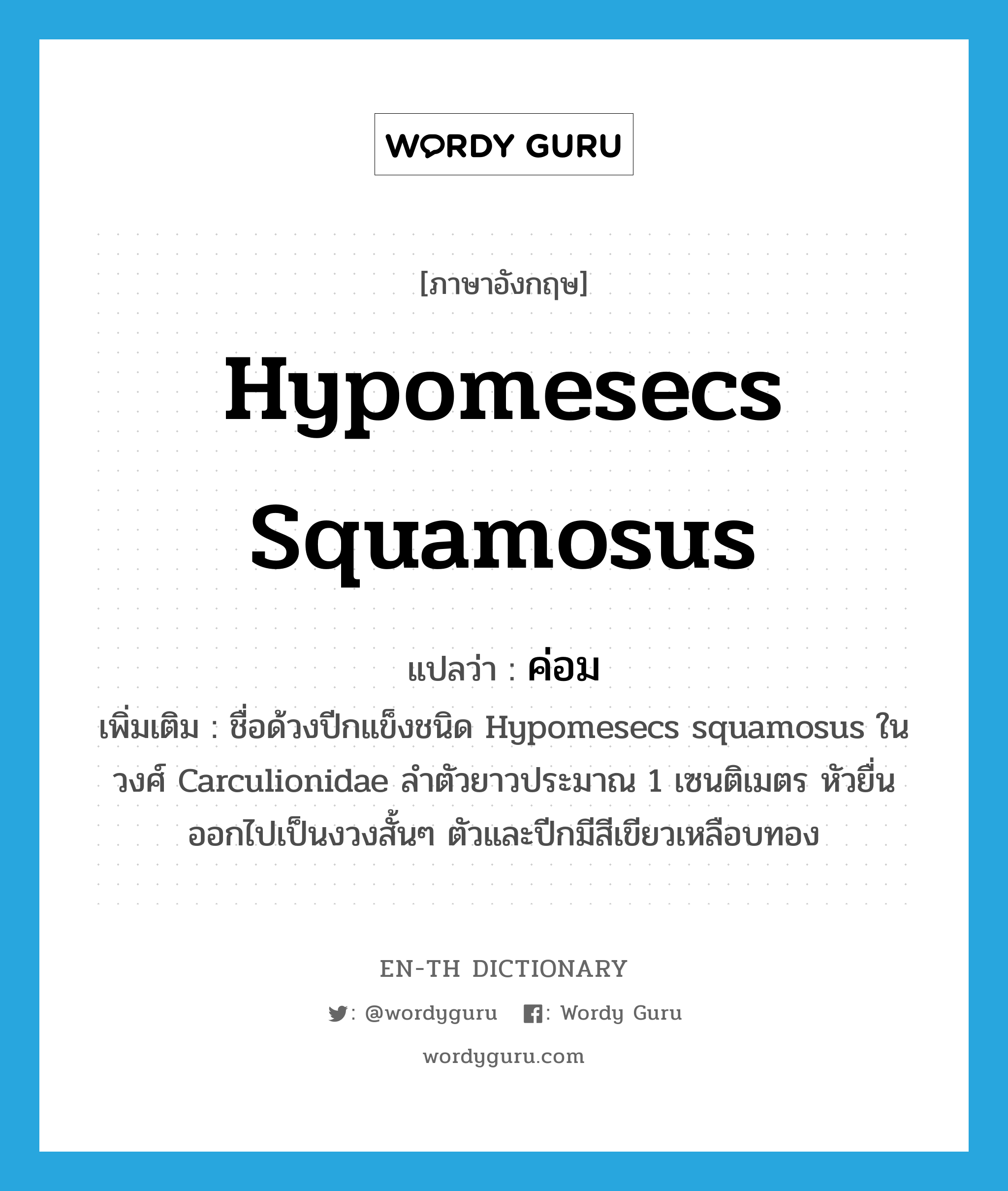 Hypomesecs squamosus แปลว่า?, คำศัพท์ภาษาอังกฤษ Hypomesecs squamosus แปลว่า ค่อม ประเภท N เพิ่มเติม ชื่อด้วงปีกแข็งชนิด Hypomesecs squamosus ในวงศ์ Carculionidae ลำตัวยาวประมาณ 1 เซนติเมตร หัวยื่นออกไปเป็นงวงสั้นๆ ตัวและปีกมีสีเขียวเหลือบทอง หมวด N