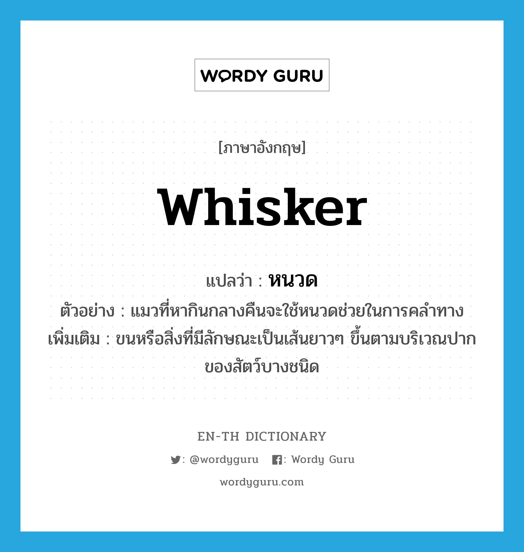 whisker แปลว่า?, คำศัพท์ภาษาอังกฤษ whisker แปลว่า หนวด ประเภท N ตัวอย่าง แมวที่หากินกลางคืนจะใช้หนวดช่วยในการคลำทาง เพิ่มเติม ขนหรือสิ่งที่มีลักษณะเป็นเส้นยาวๆ ขึ้นตามบริเวณปากของสัตว์บางชนิด หมวด N